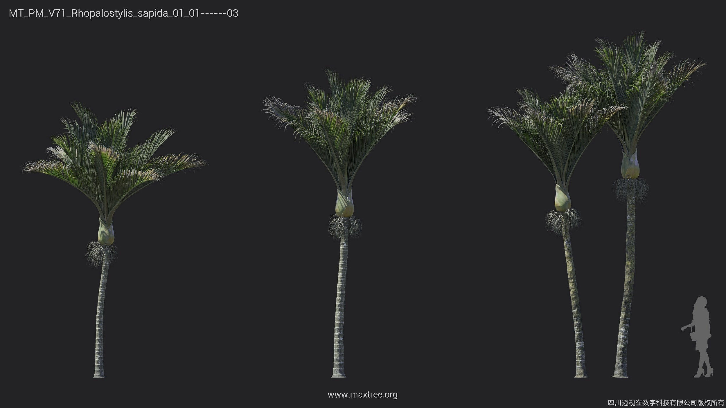 Maxtree Plant Models Vol 71 - Mesh 3D model_10