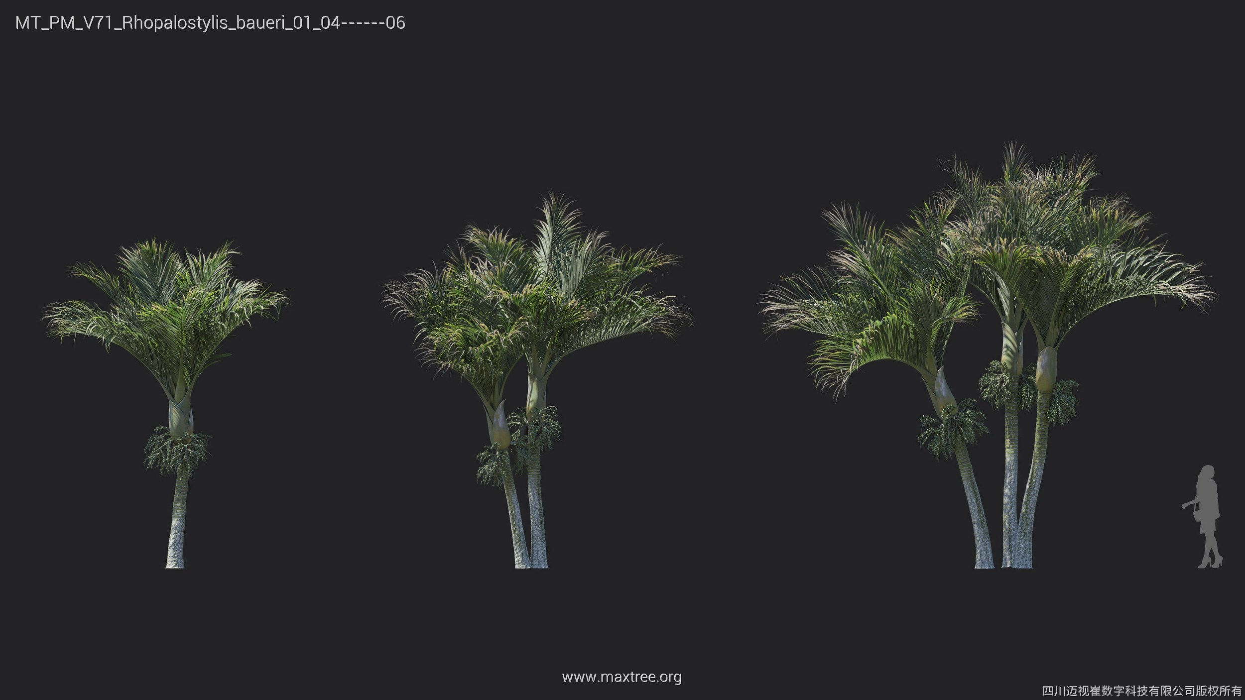 Maxtree Plant Models Vol 71 - Mesh 3D model_7