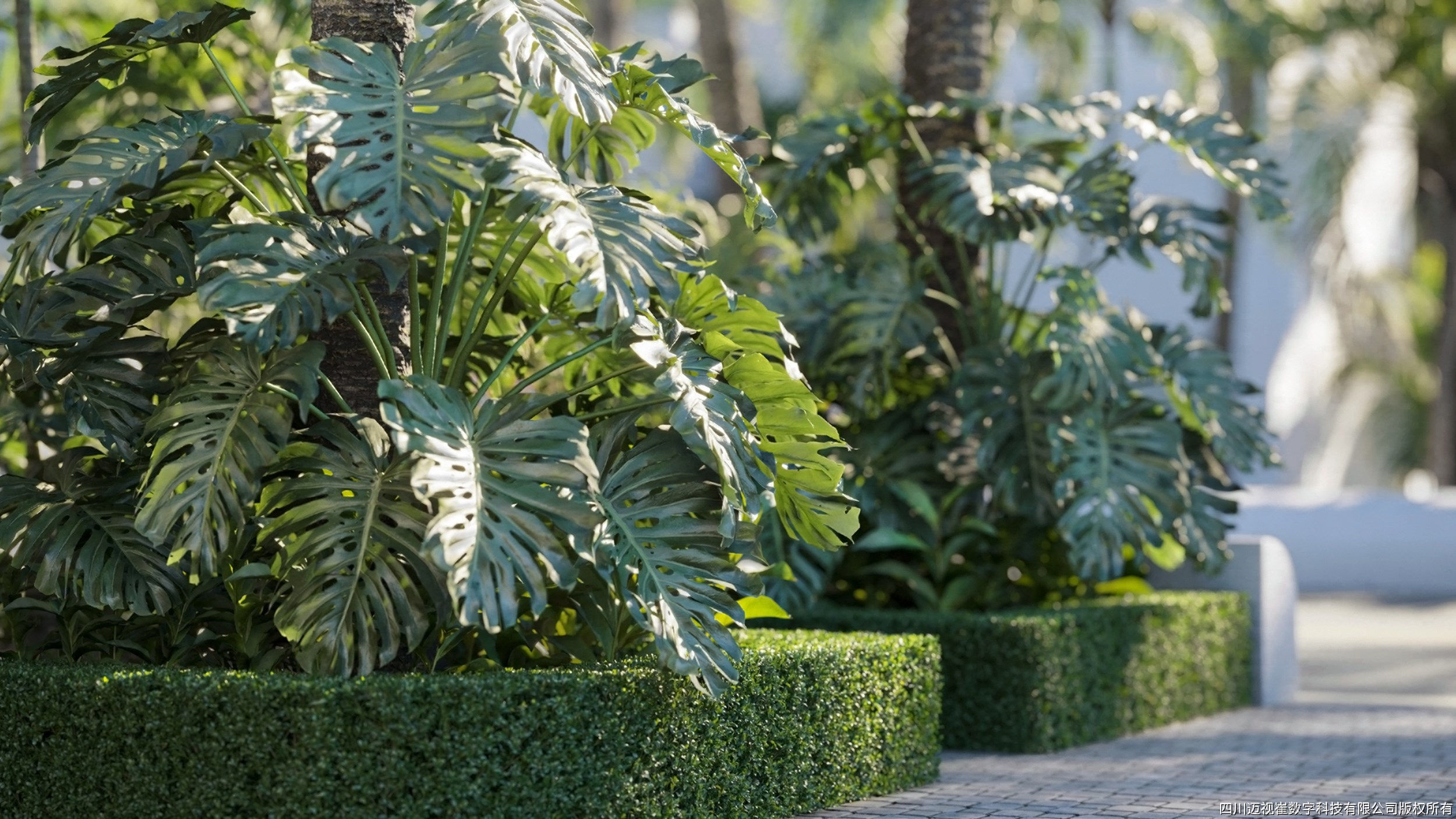 Maxtree Plant Models Vol 71 - Mesh 3D model_3