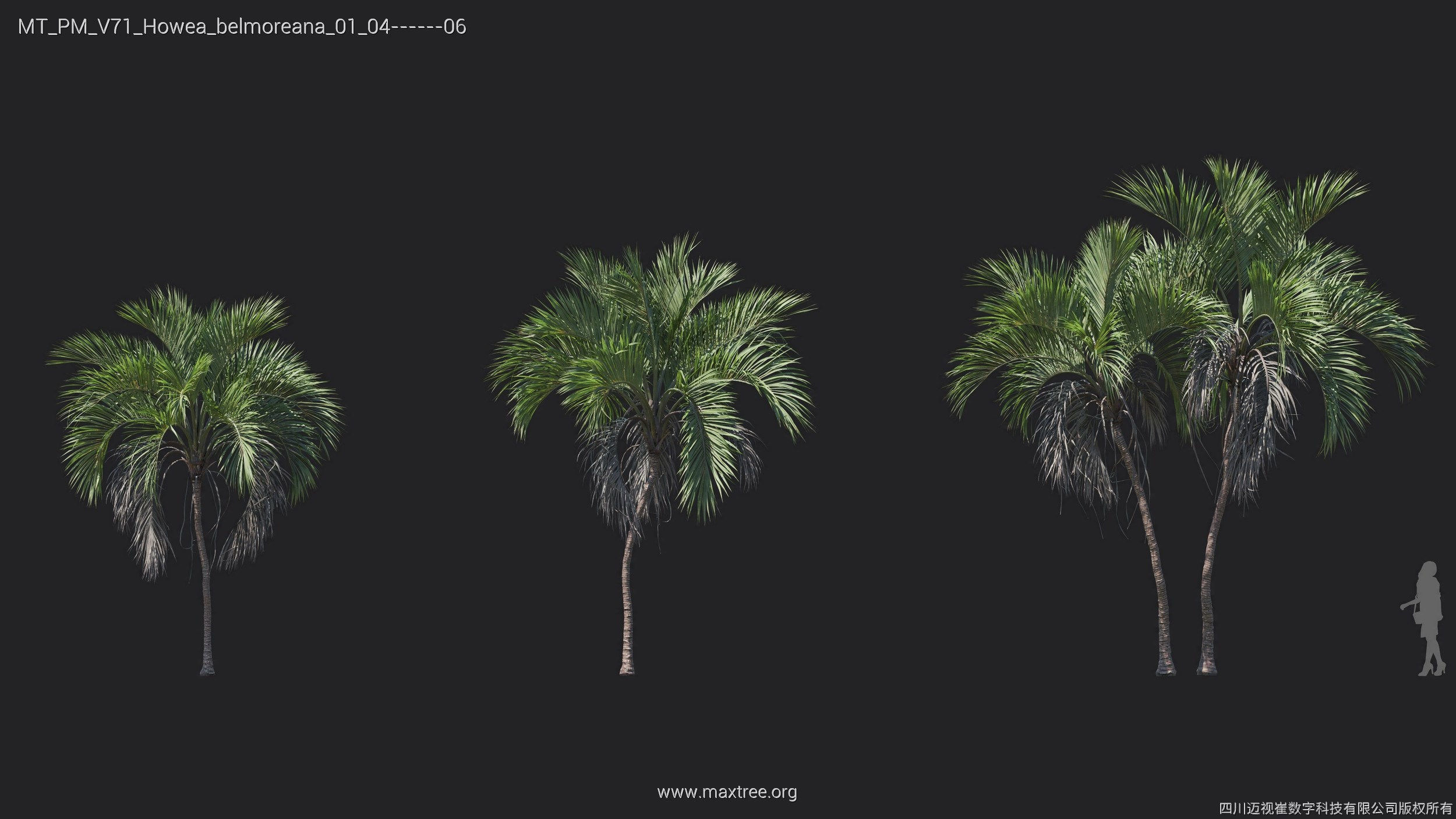 Maxtree Plant Models Vol 71 - Mesh 3D model_25