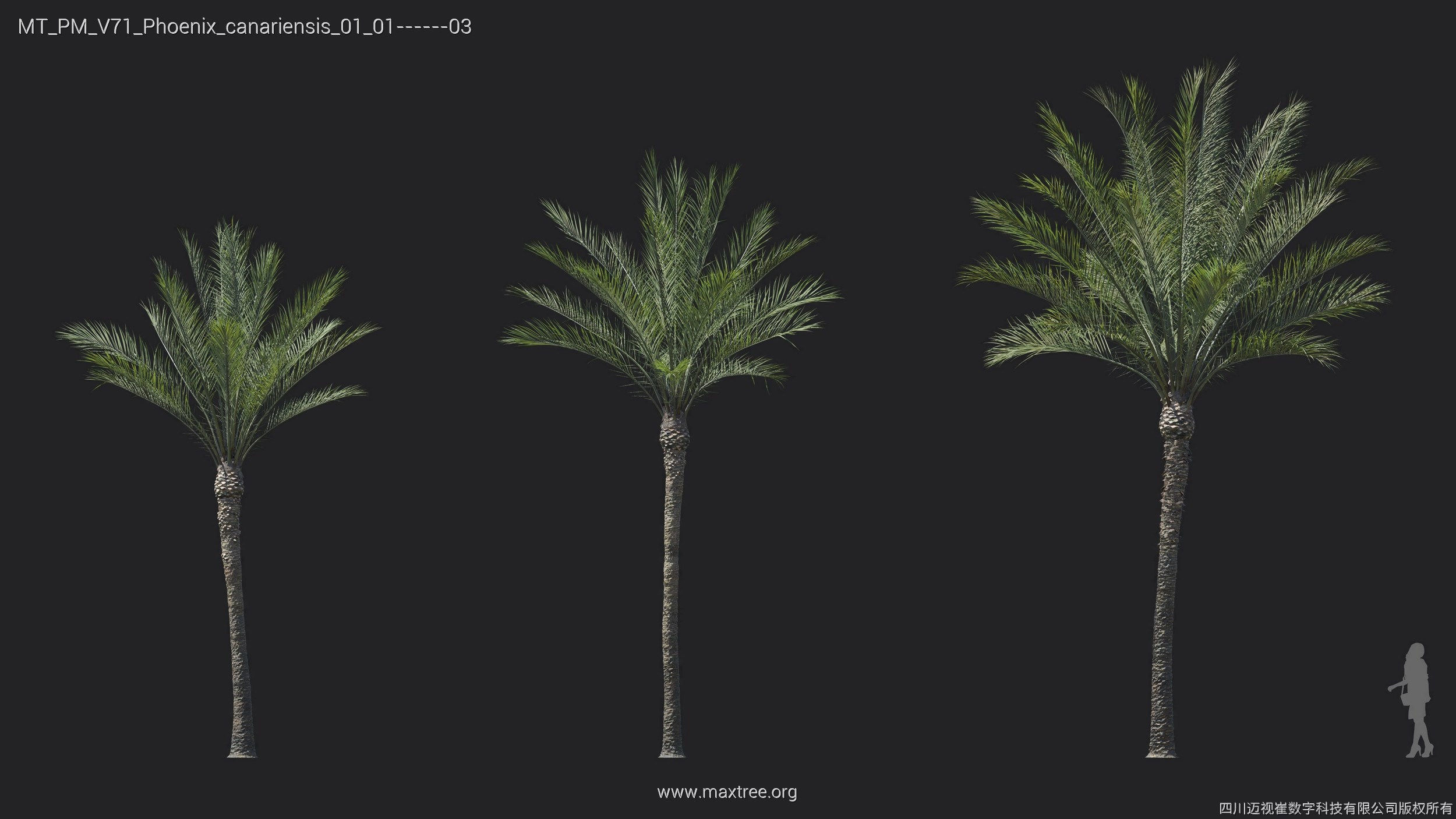 Maxtree Plant Models Vol 71 - Mesh 3D model_22