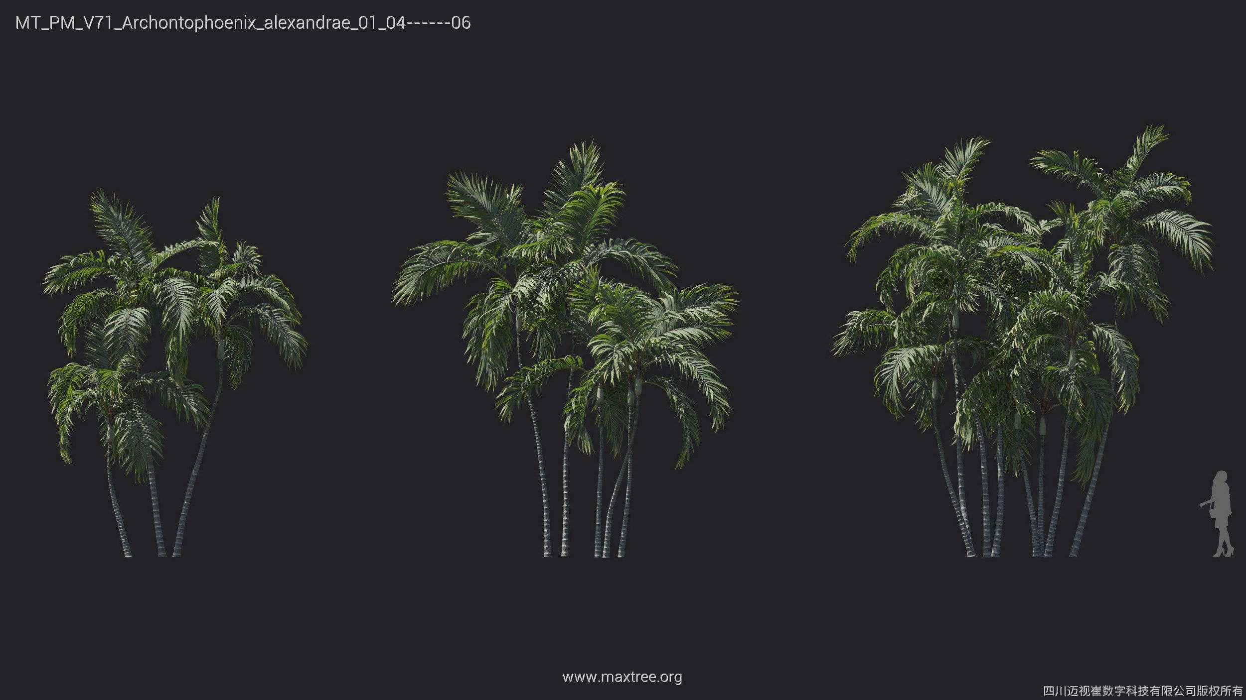 Maxtree Plant Models Vol 71 - Mesh 3D model_12