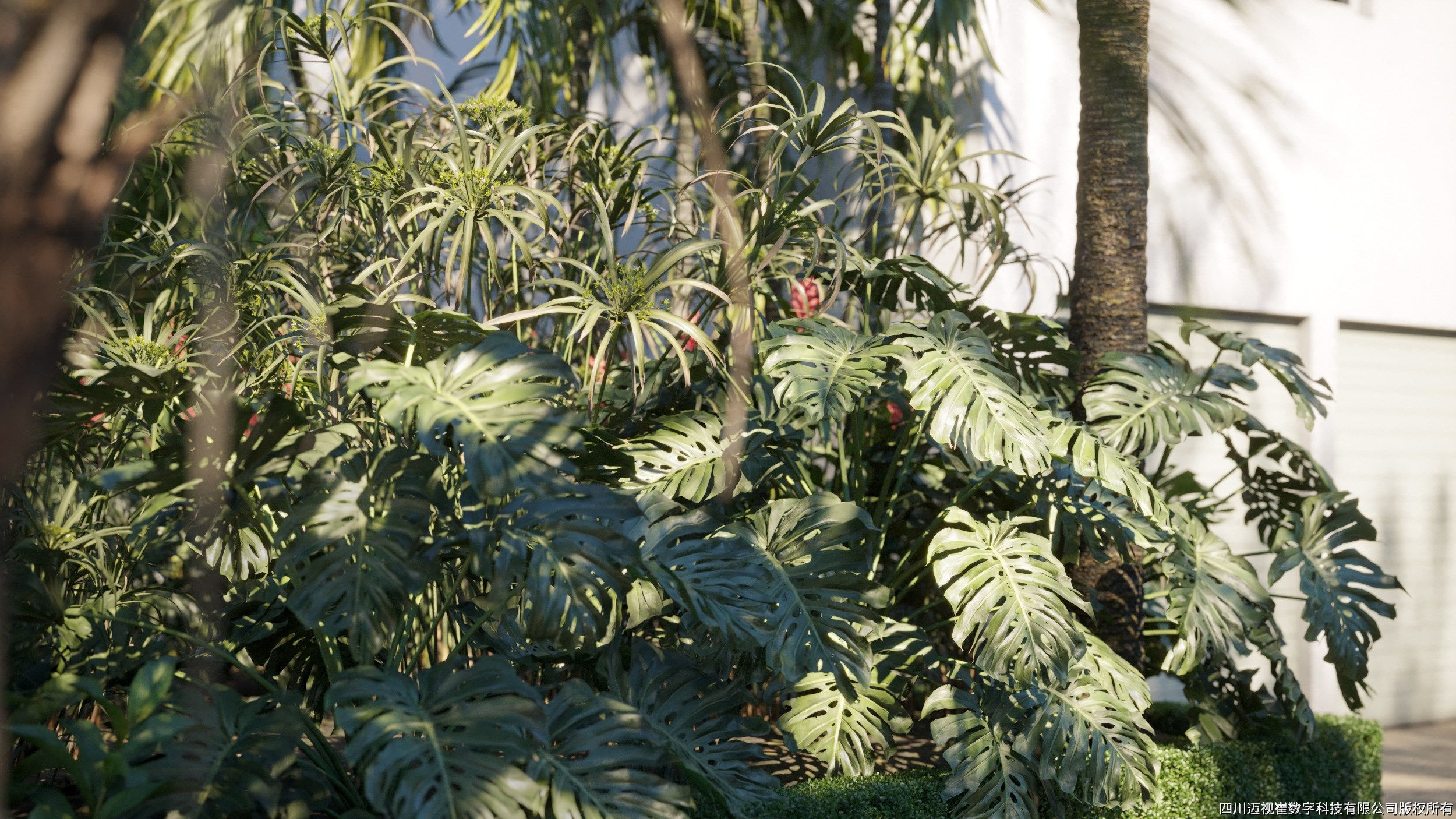 Maxtree Plant Models Vol 71 - Mesh 3D model_1