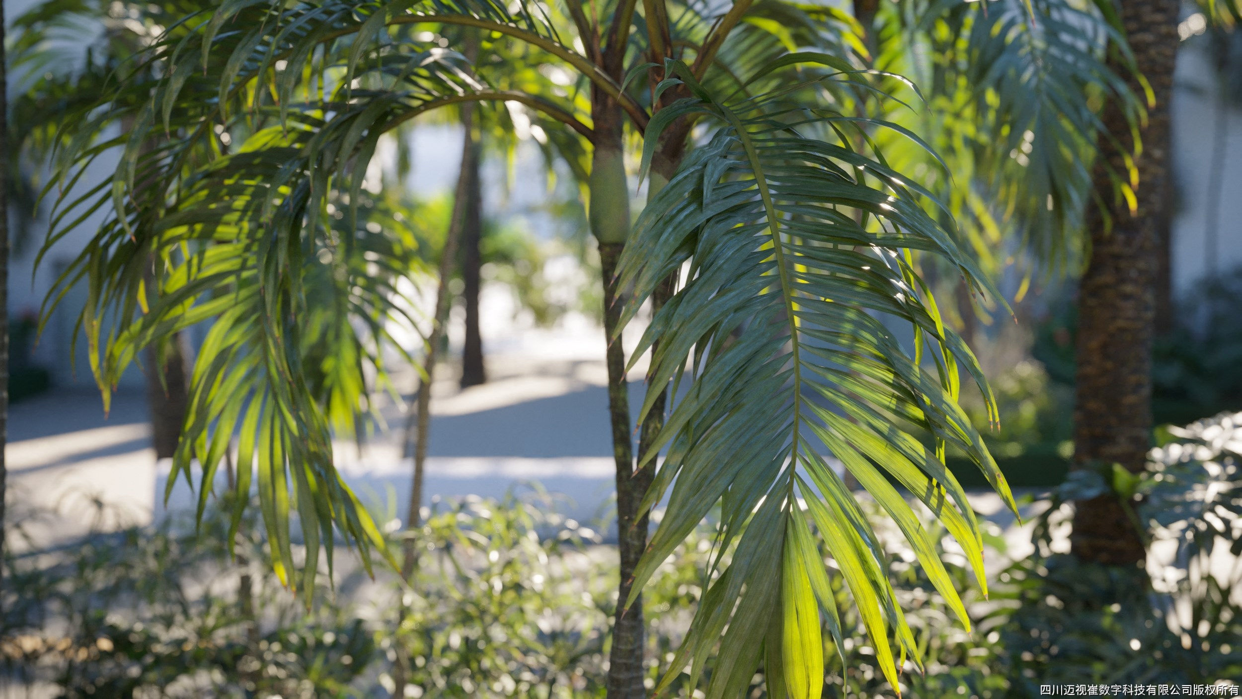 Maxtree Plant Models Vol 71 - Mesh 3D model_2