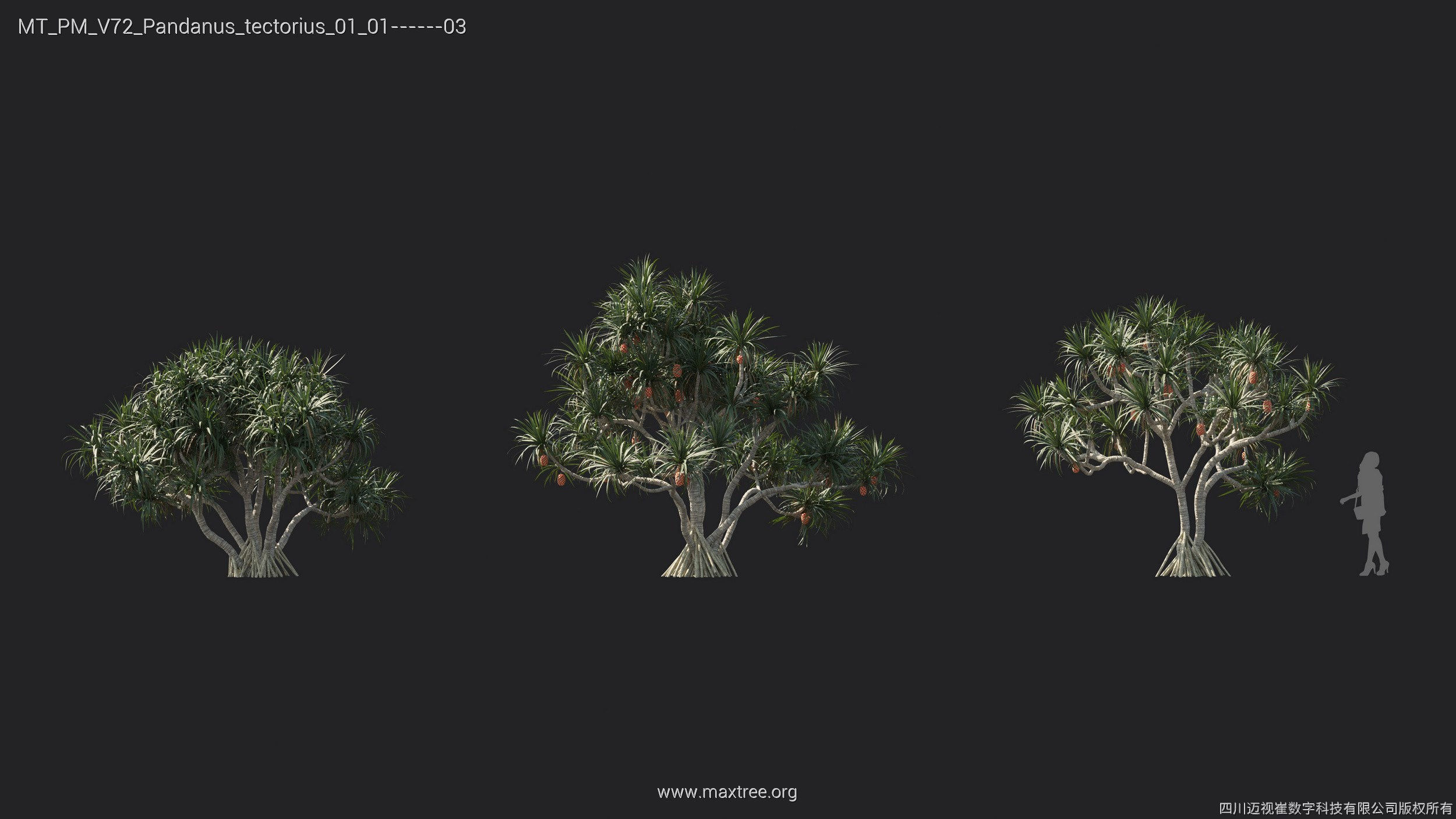 Maxtree Plant Models Vol 72 - Mesh 3D model_23