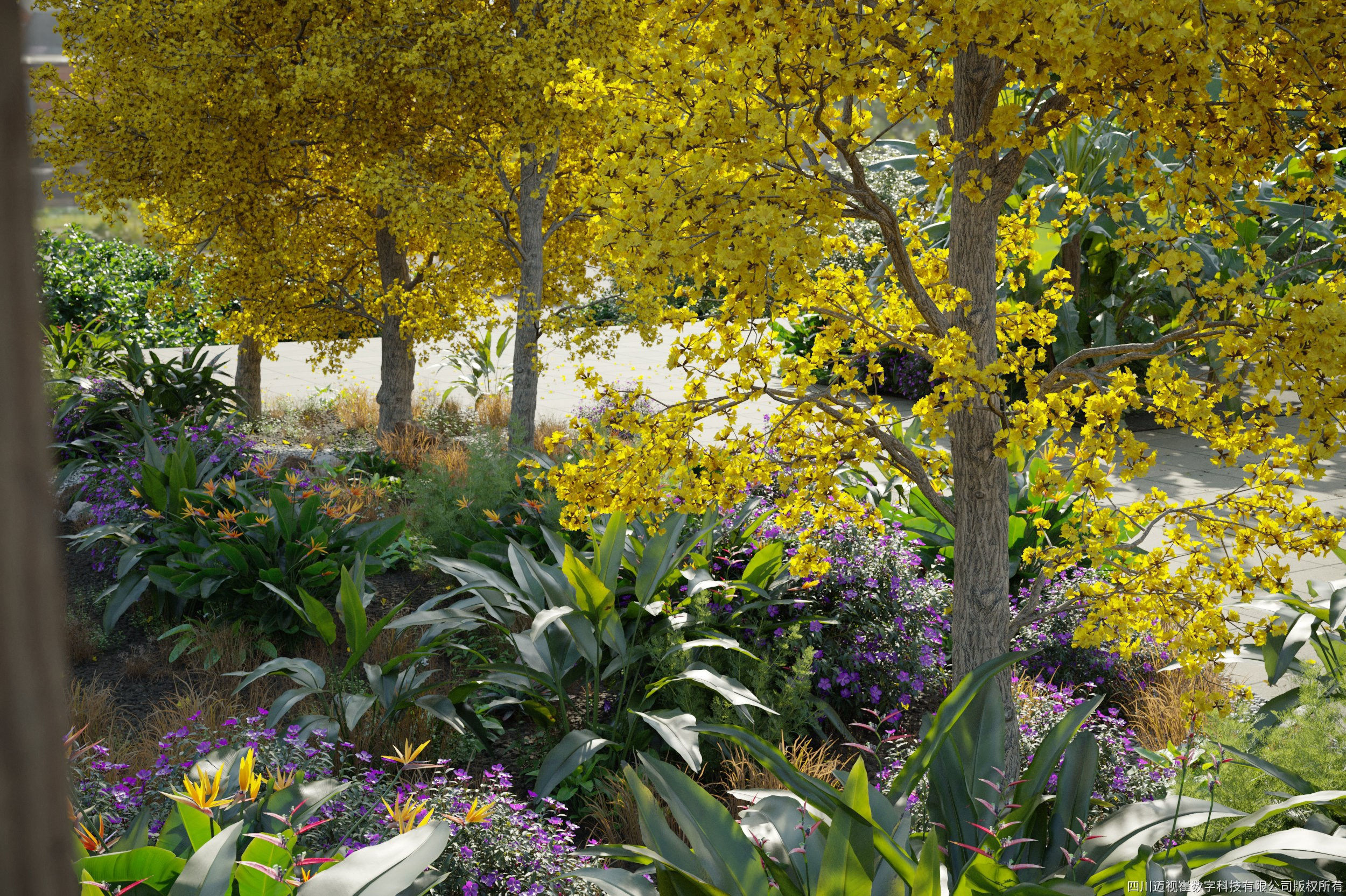 Maxtree Plant Models Vol 72 - Mesh 3D model_3