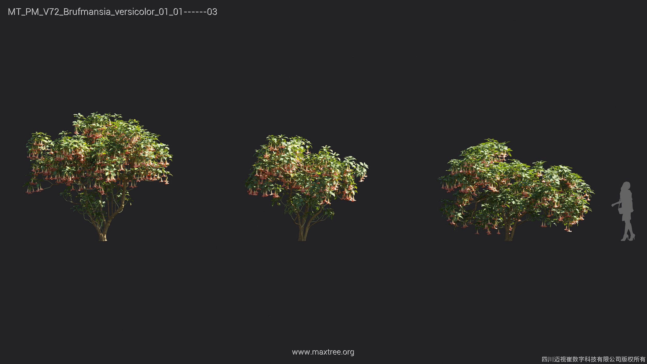 Maxtree Plant Models Vol 72 - Mesh 3D model_9