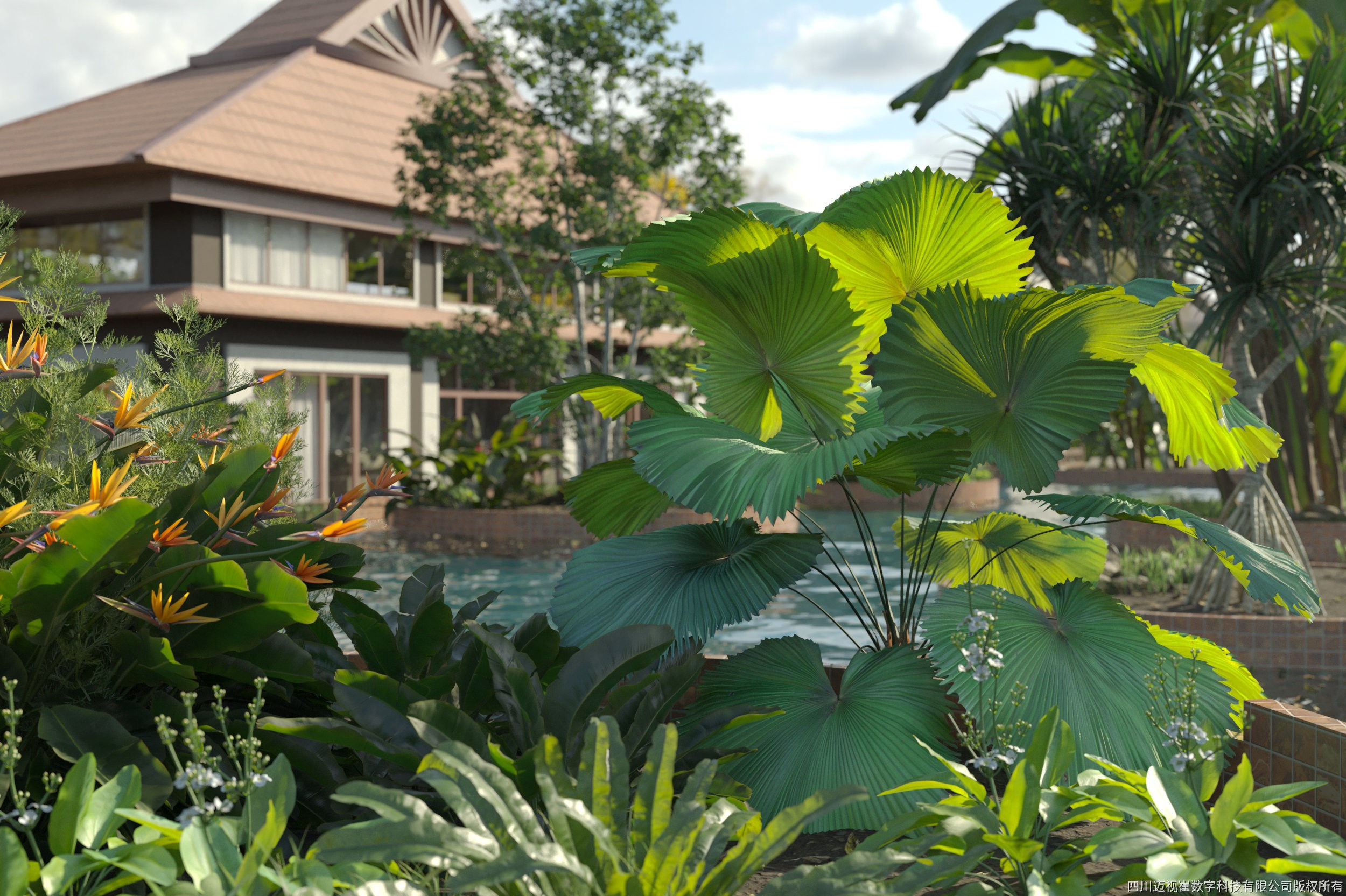 Maxtree Plant Models Vol 72 - Mesh 3D model_2