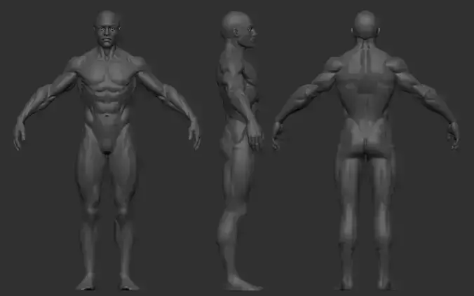 Base Mesh Man