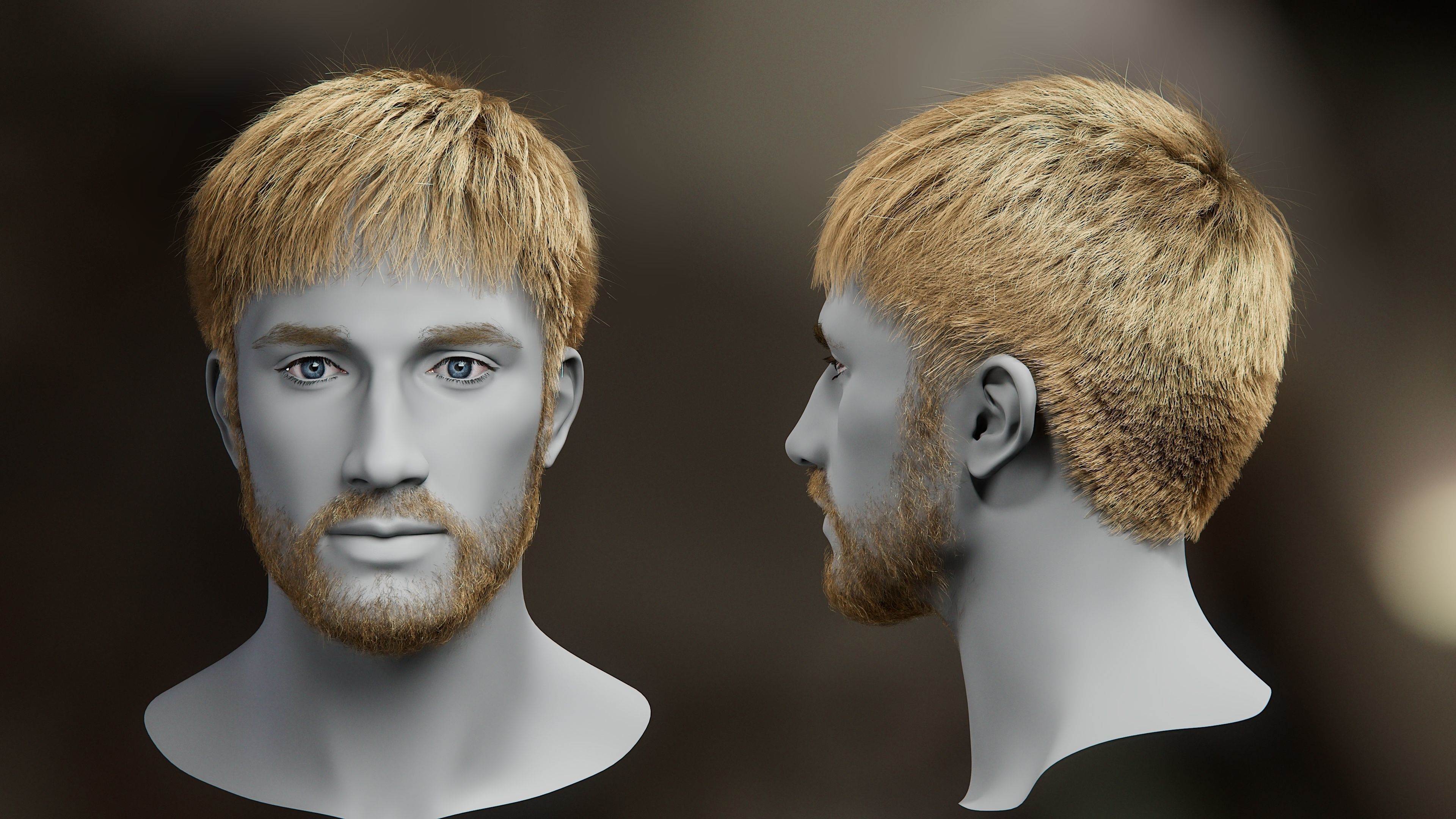 5 Hair Card VFX Grace 3D model_22