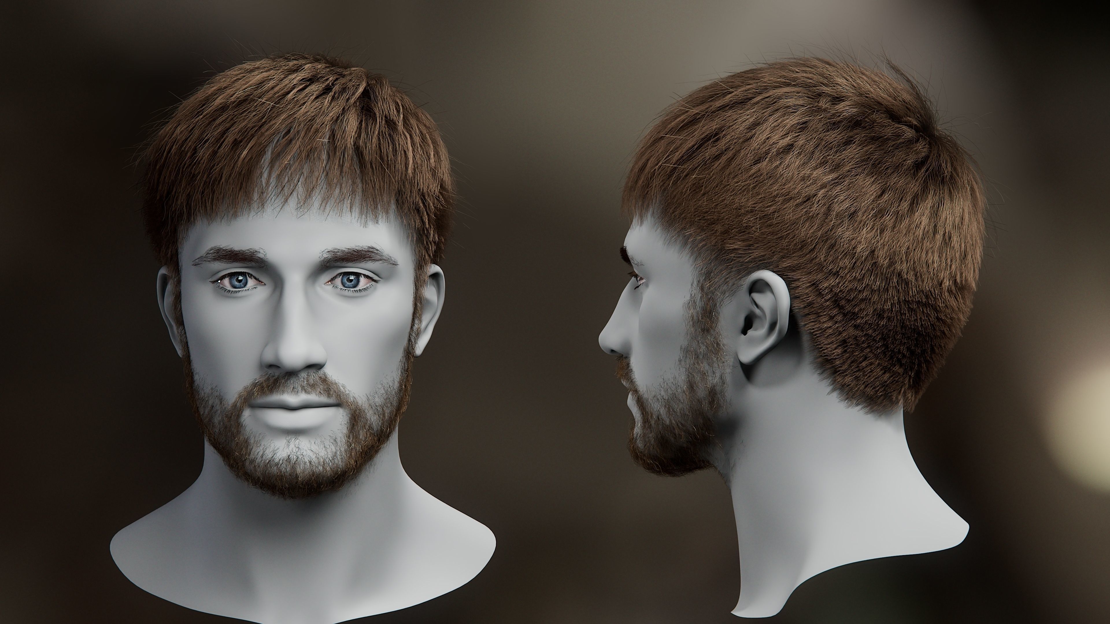 5 Hair Card VFX Grace 3D model_24