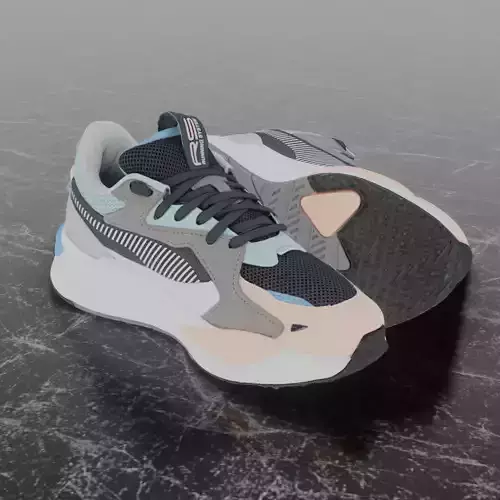 Puma 3D Shoes - RS Series
