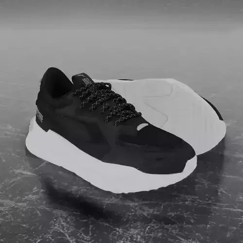 Puma 3D Shoes - White - Black - RS Series