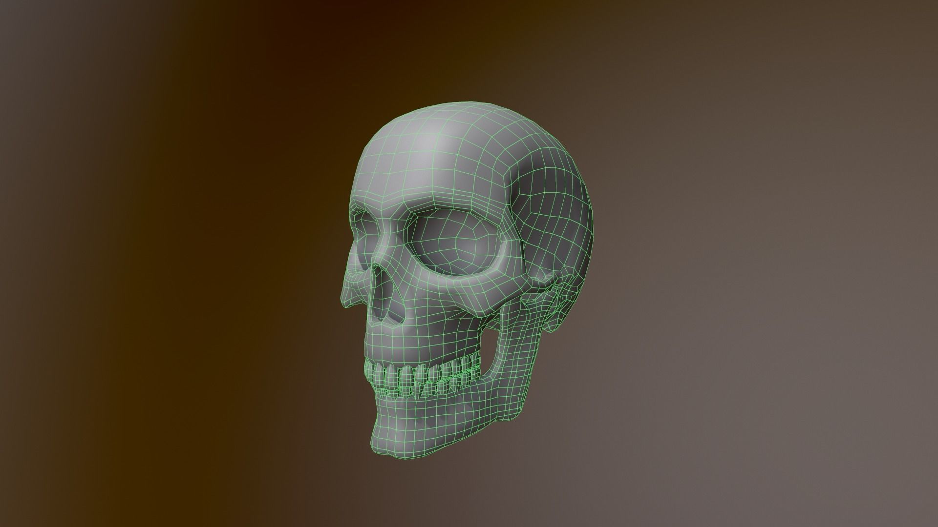 Human Skull Low Poly 3D model Low-poly 3D model_7