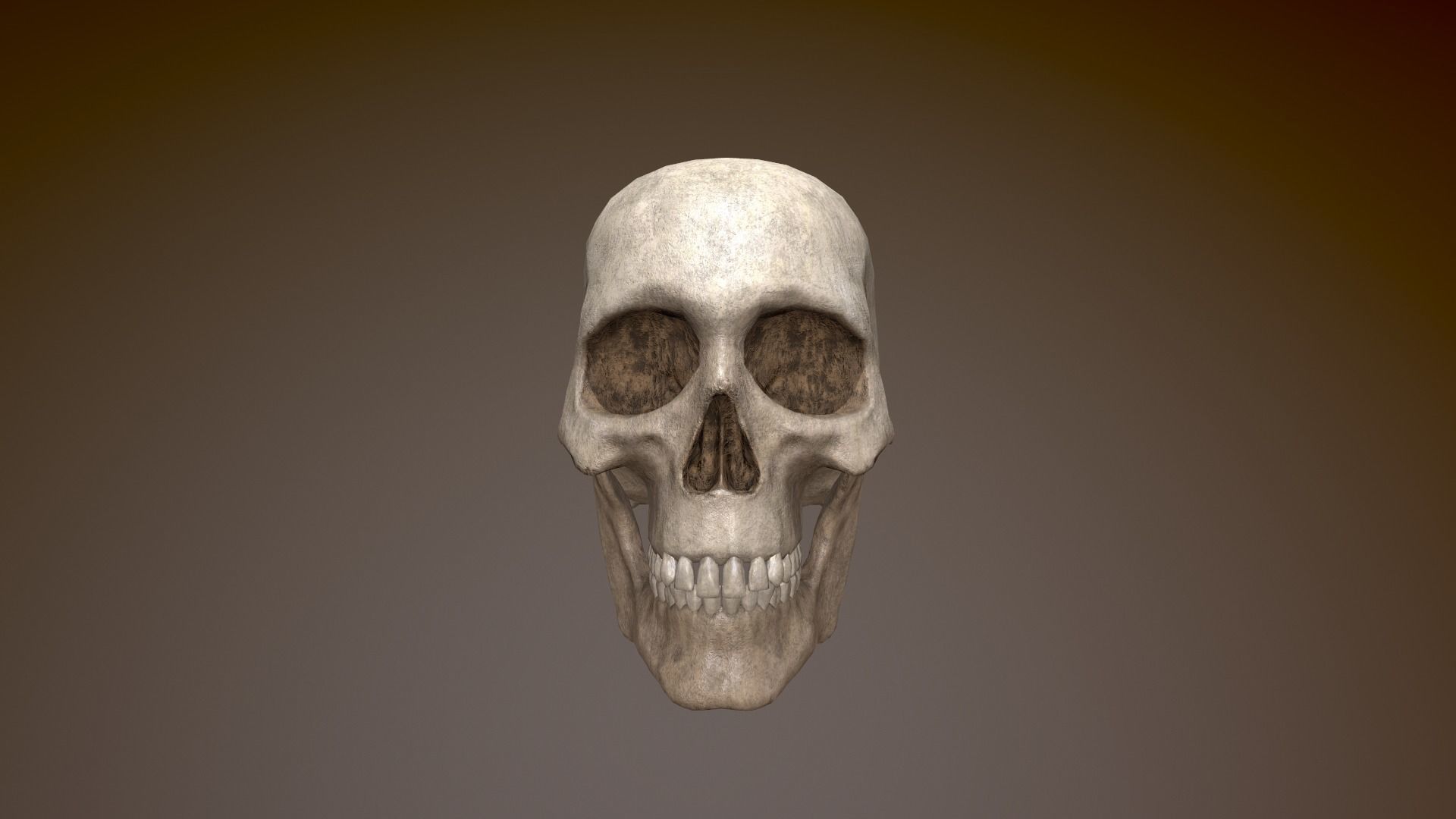 Human Skull Low Poly 3D model Low-poly 3D model_3