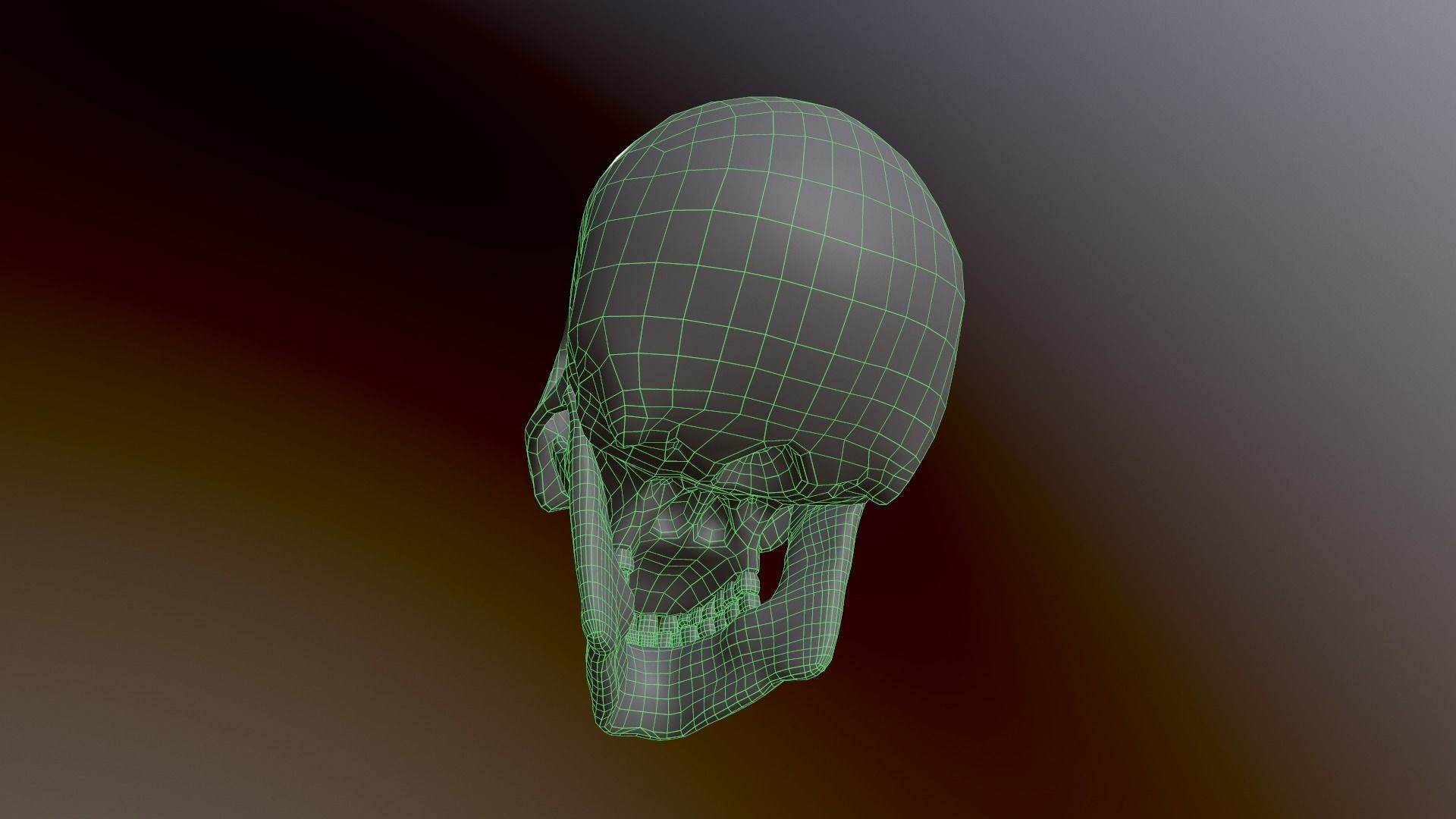 Human Skull Low Poly 3D model Low-poly 3D model_10