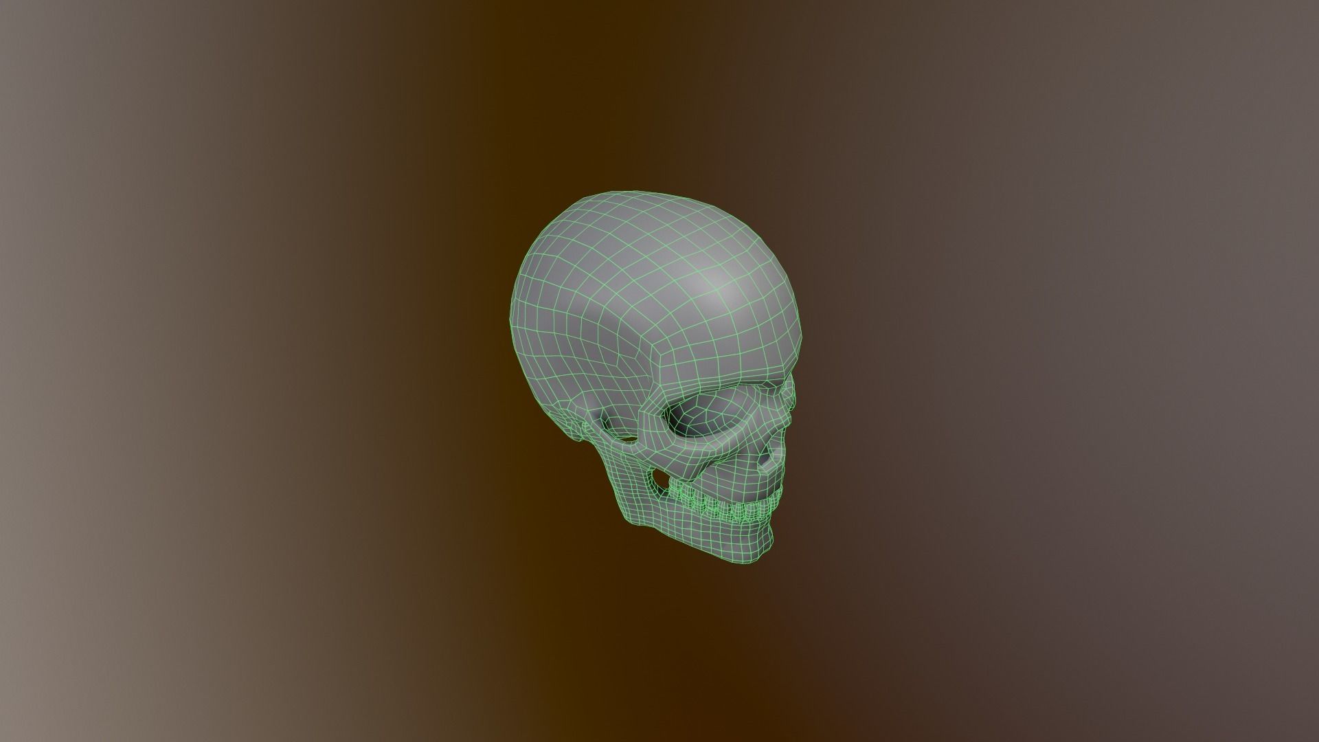 Human Skull Low Poly 3D model Low-poly 3D model_11