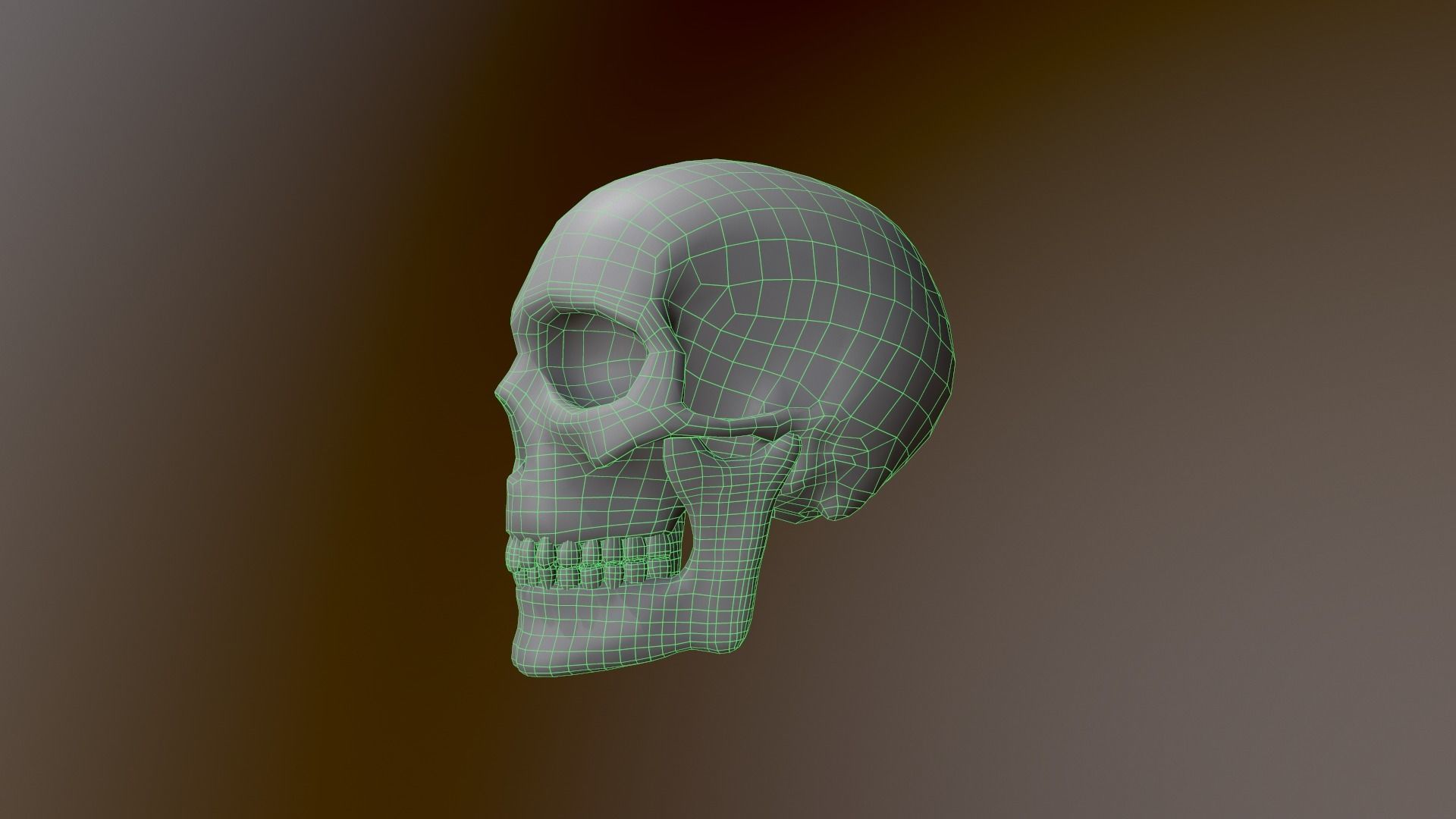 Human Skull Low Poly 3D model Low-poly 3D model_8