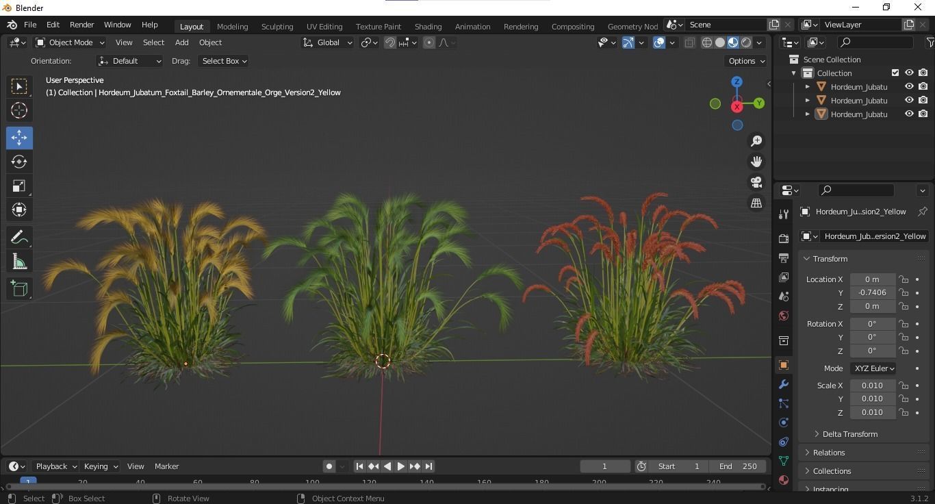 Plants Hordeum Jubatum Foxtail Barley Ornementale Orge Version02 3D model_6
