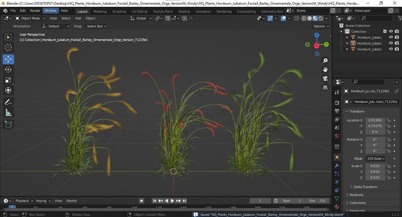 Plants Hordeum Jubatum Foxtail Barley Ornementale Orge V4 3D model_5