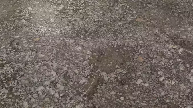 Wet Dirt PBR Texture Texture