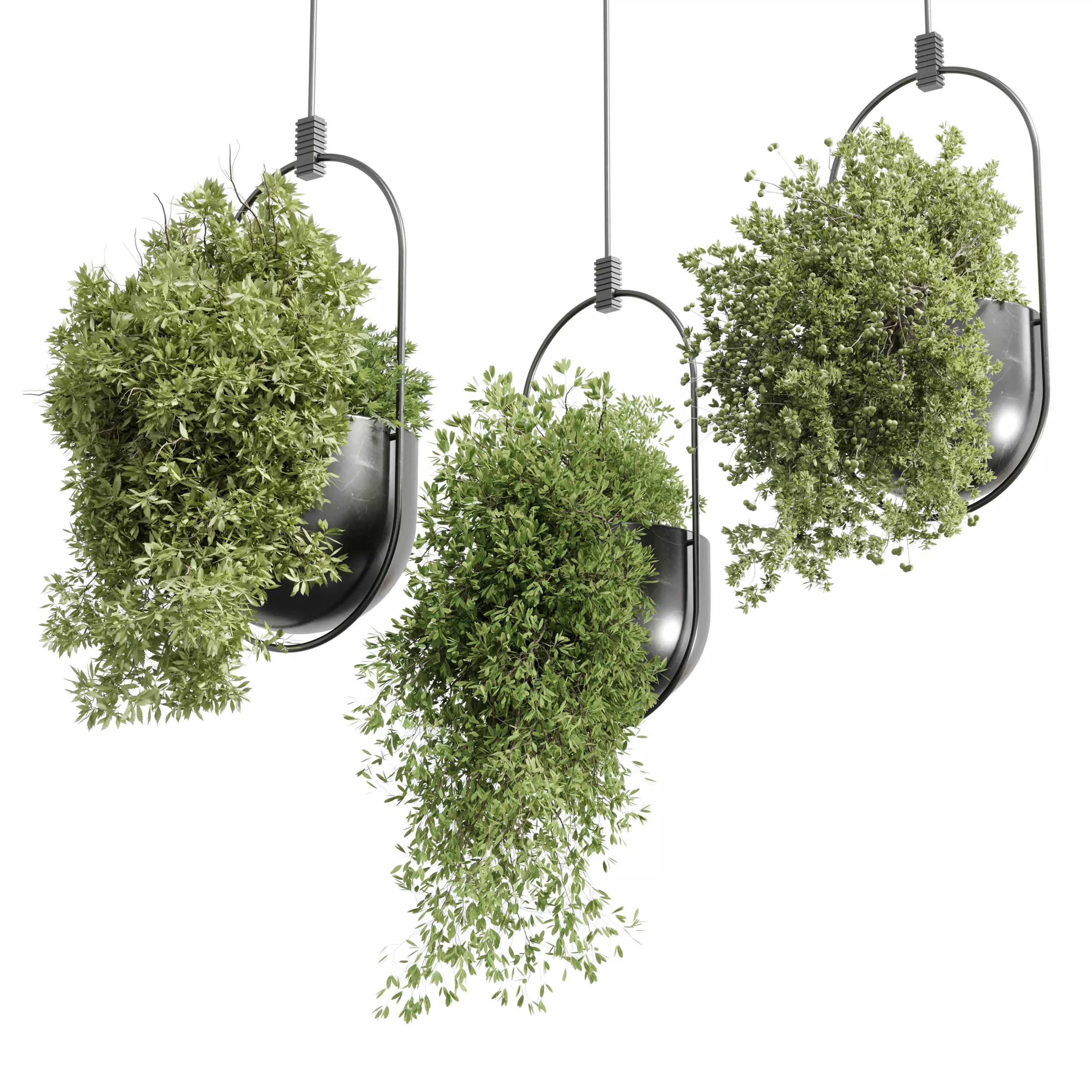 Hanging Plants set 377 - indoor Plant Low-poly 3D model