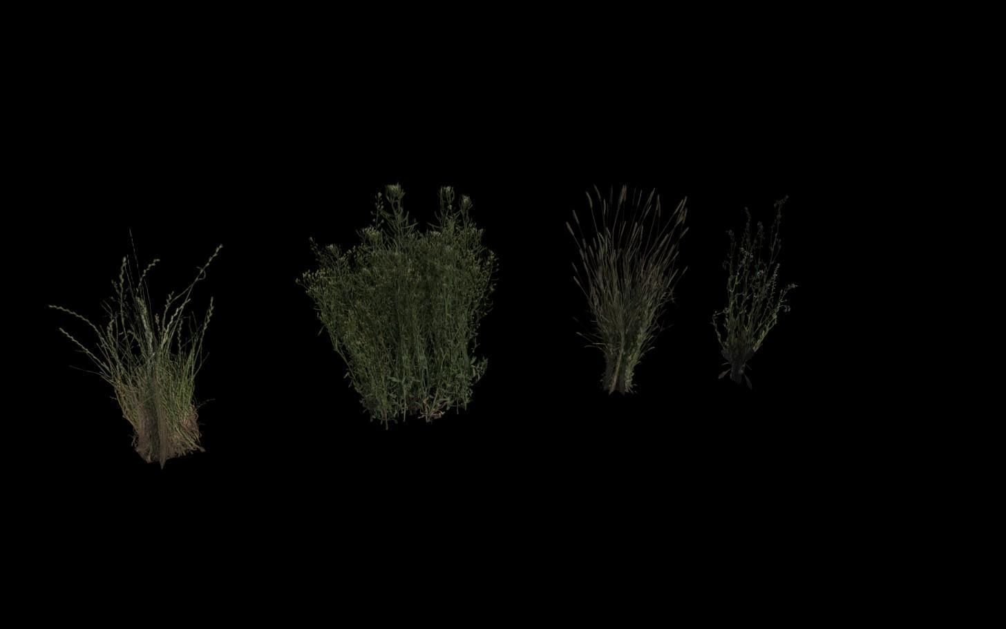 Grass Pack Low-poly 3D model_9