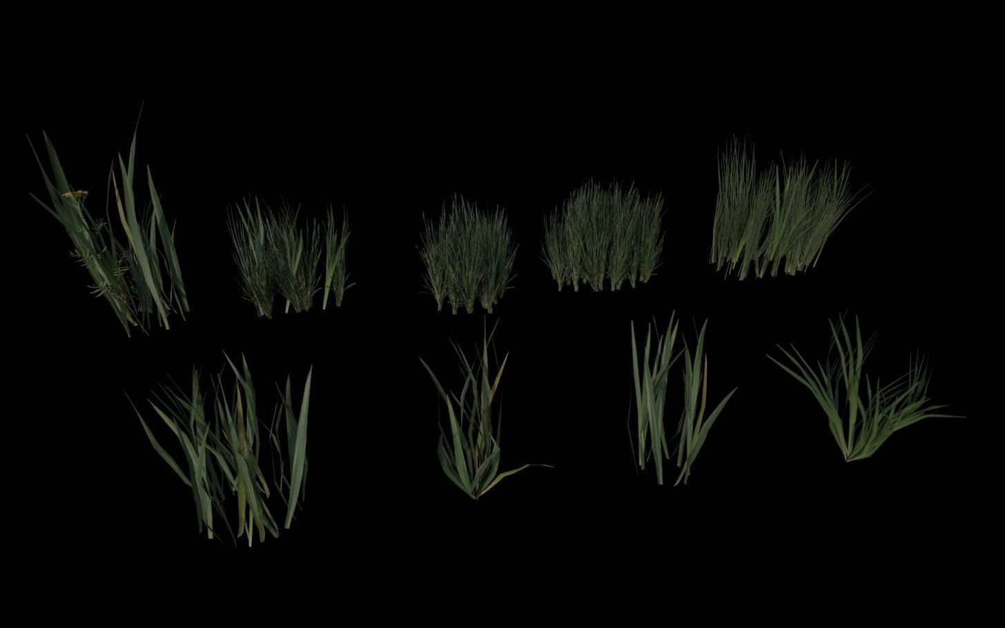 Grass Pack Low-poly 3D model_6