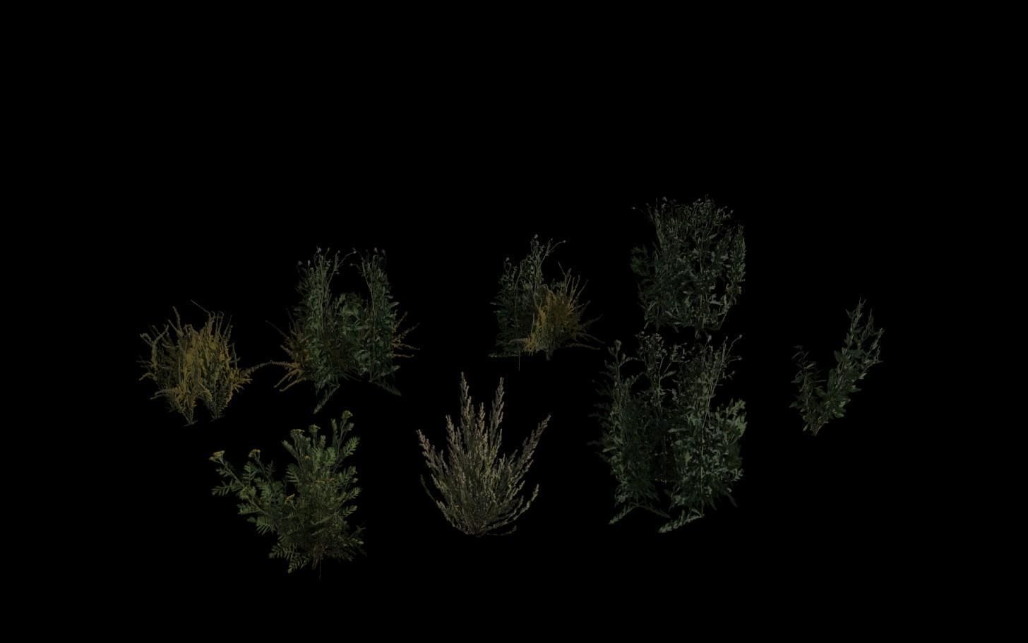 Grass Pack Low-poly 3D model_15