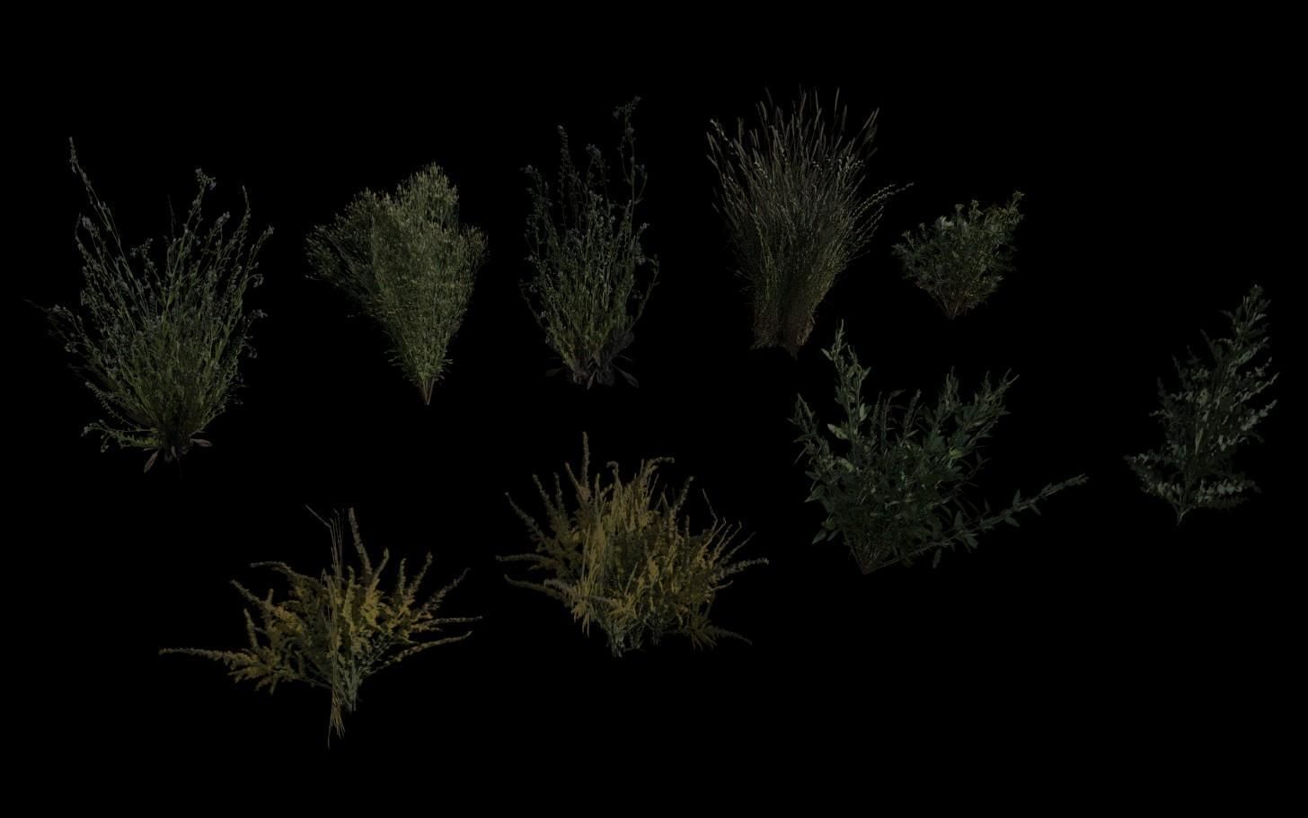 Grass Pack Low-poly 3D model_16