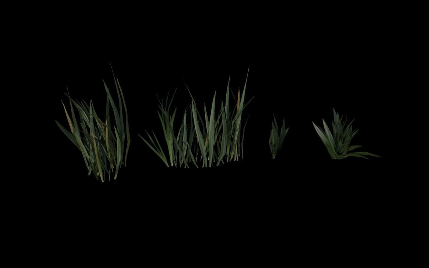 Grass Pack Low-poly 3D model_4