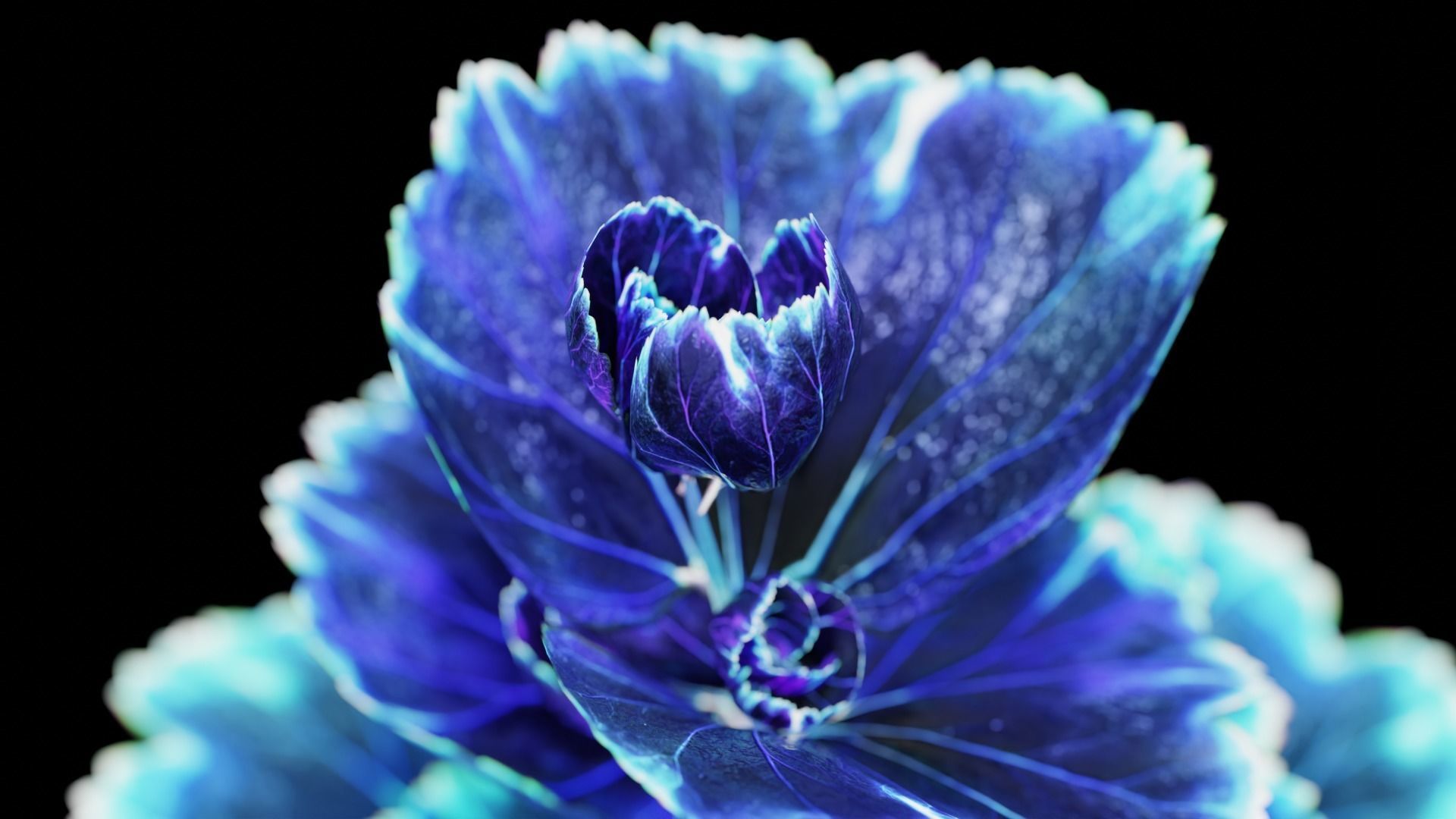 Alien Clover Plant Low-poly 3D model_3