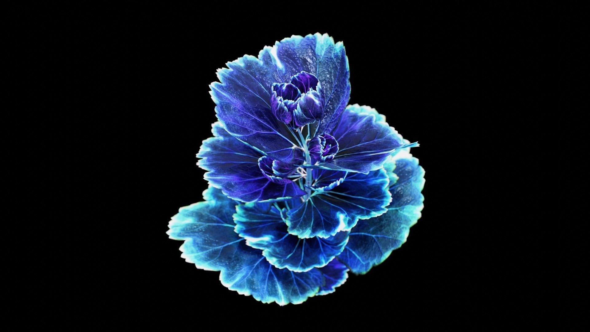 Alien Clover Plant Low-poly 3D model_13