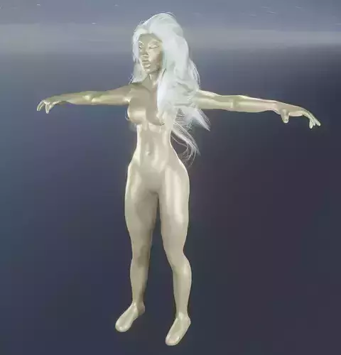 3d Woman Body with hair