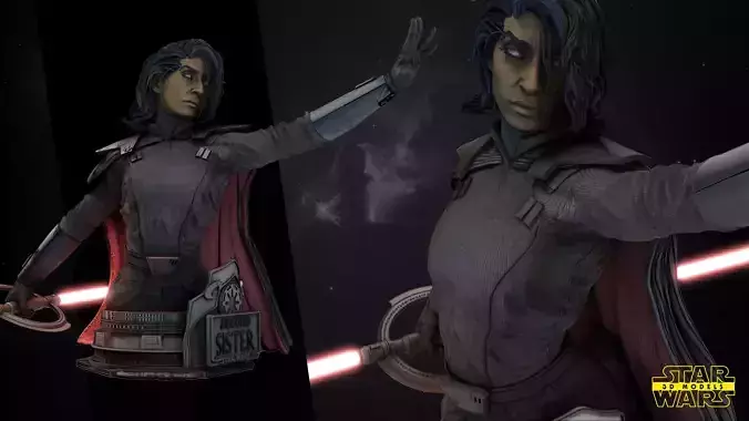 Second Sister Inquisitor Bust Star Wars 3D Models