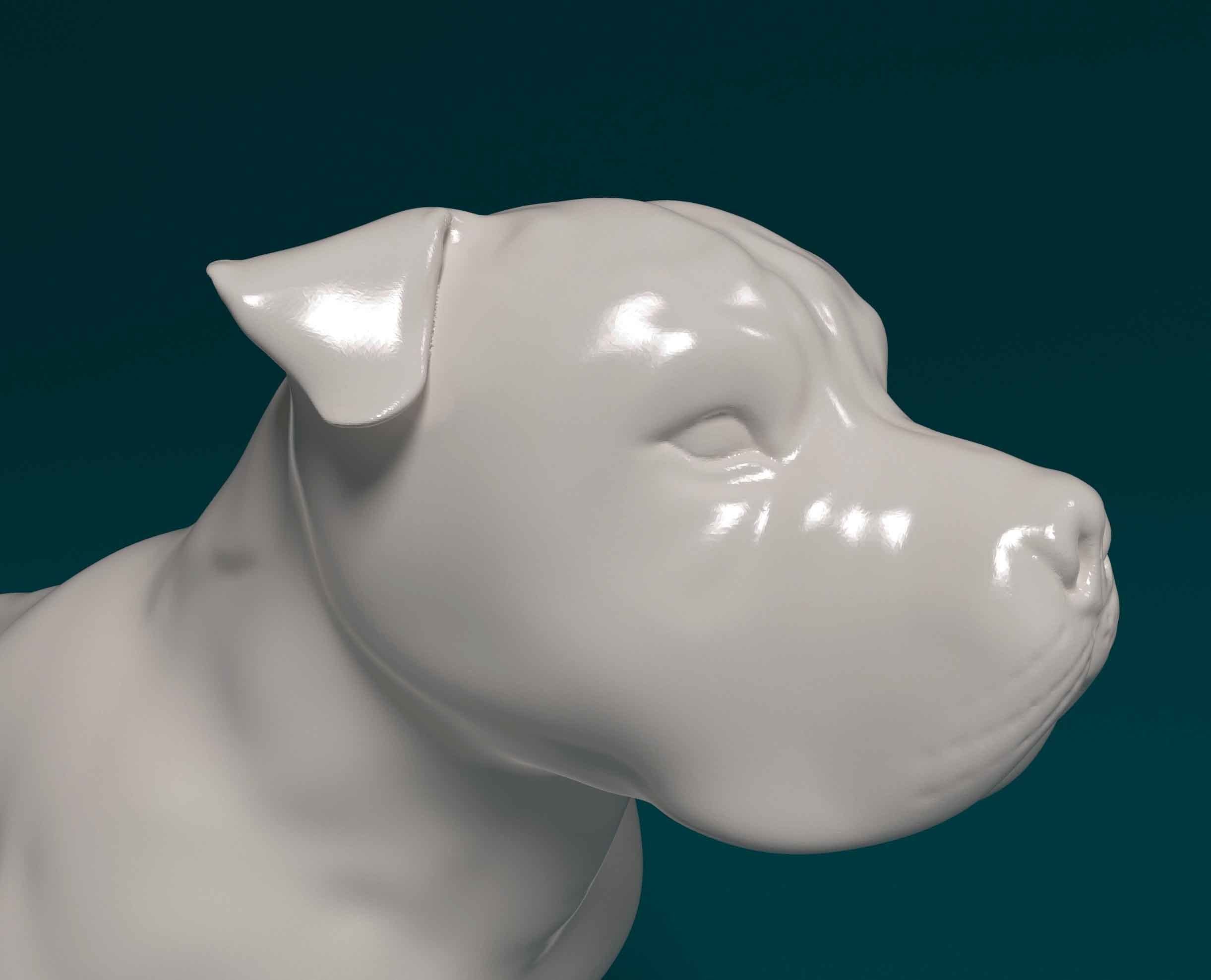 Pitbull 01 3D print model_6