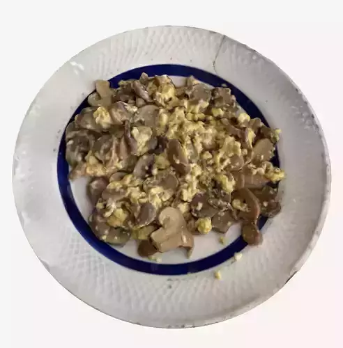 Mushrooms with Egg 3D print model