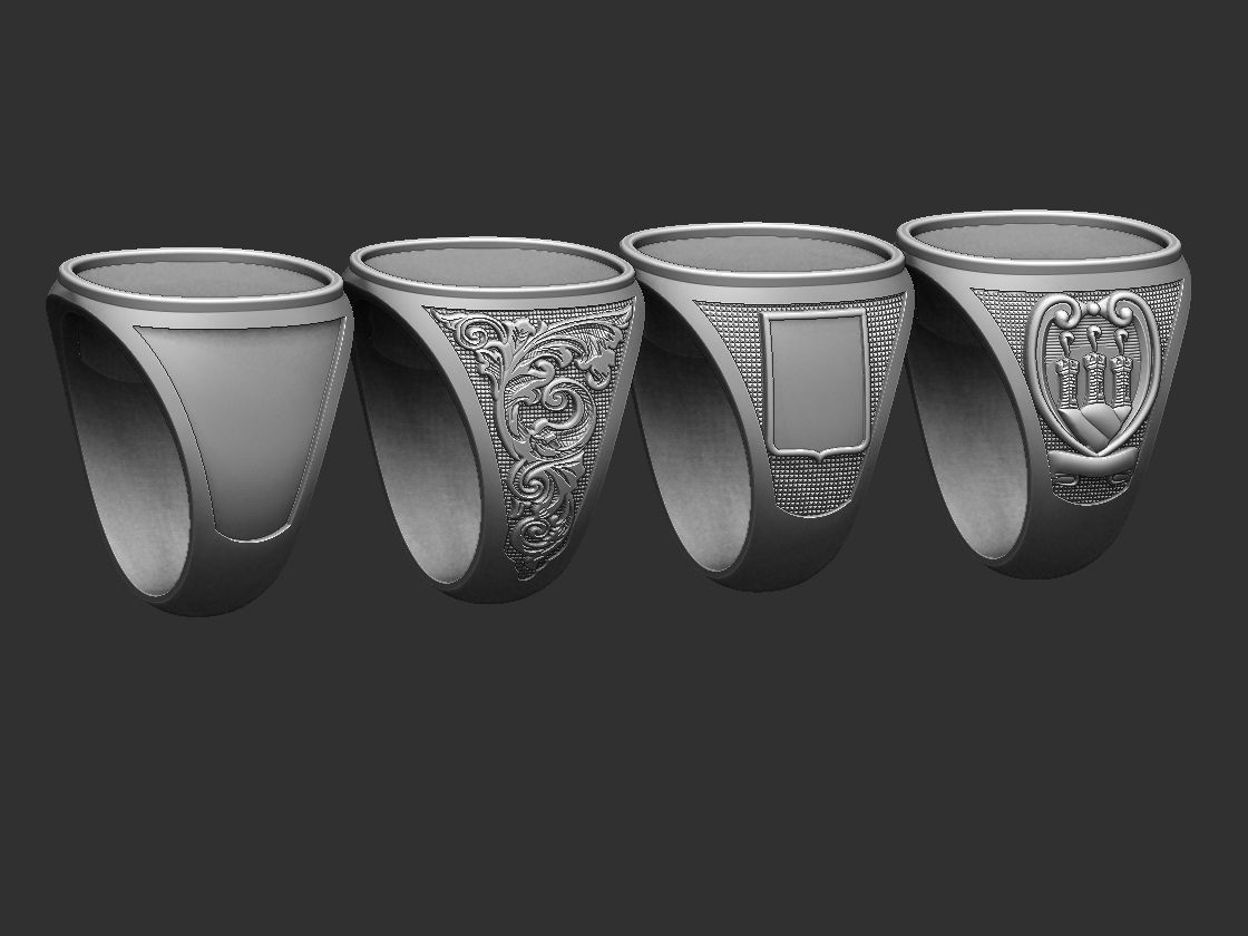 Coat of Arms Family - Brasao - Rings Set 3D print model_3