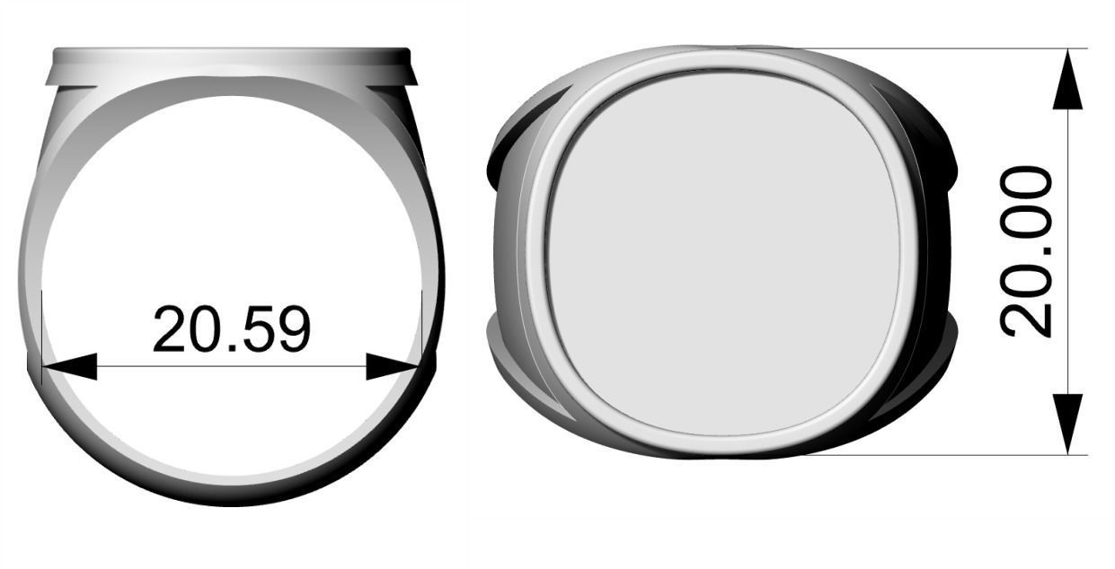 Coat of Arms Family - Brasao - Rings Set 3D print model_12