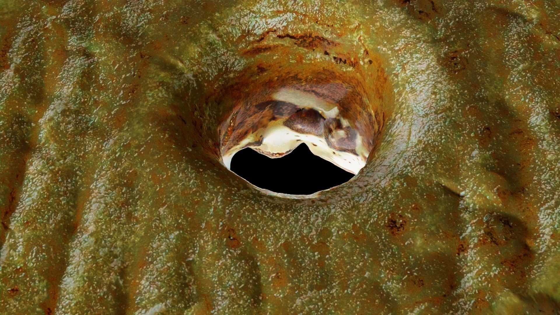 Scanned Donuts 10 flavors high and lowpoly versions Low-poly 3D model_4