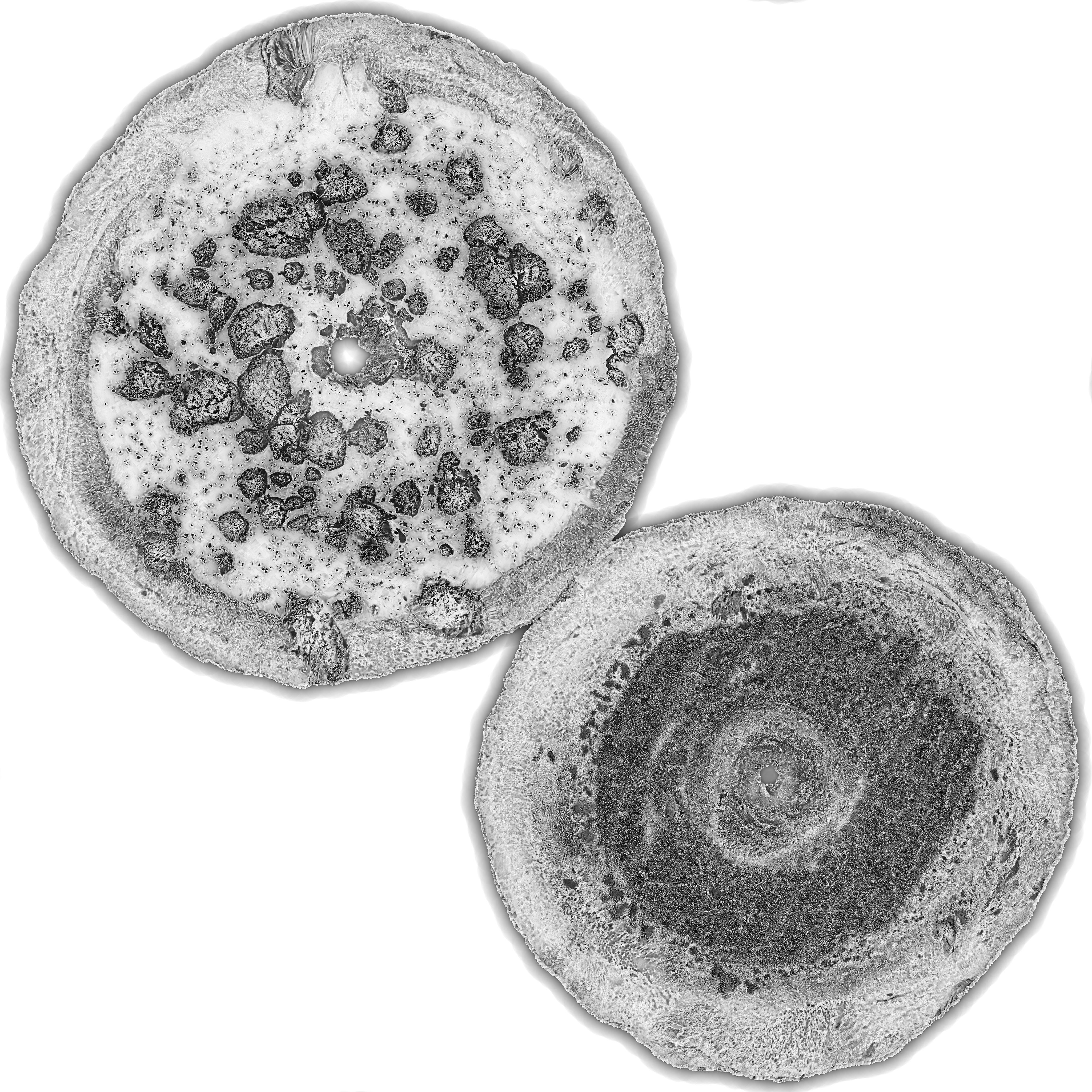 Scanned Donuts 10 flavors high and lowpoly versions Low-poly 3D model_6