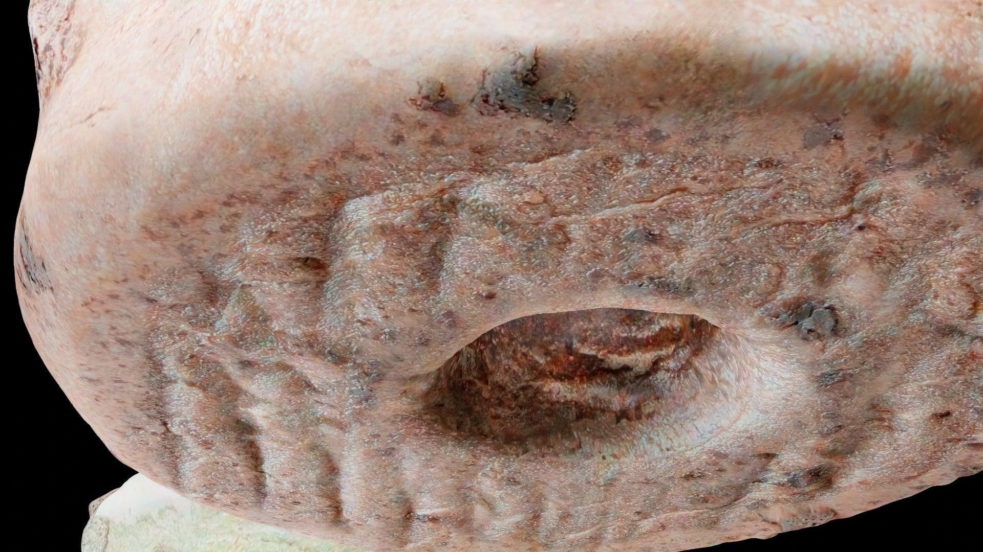 Scanned Donuts 10 flavors high and lowpoly versions Low-poly 3D model_5