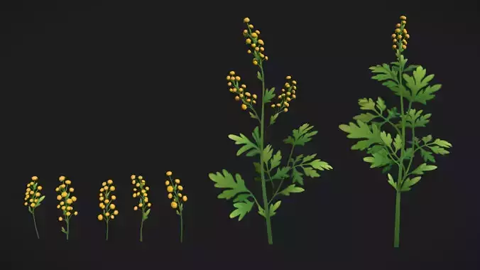 Wormwood stylized plant