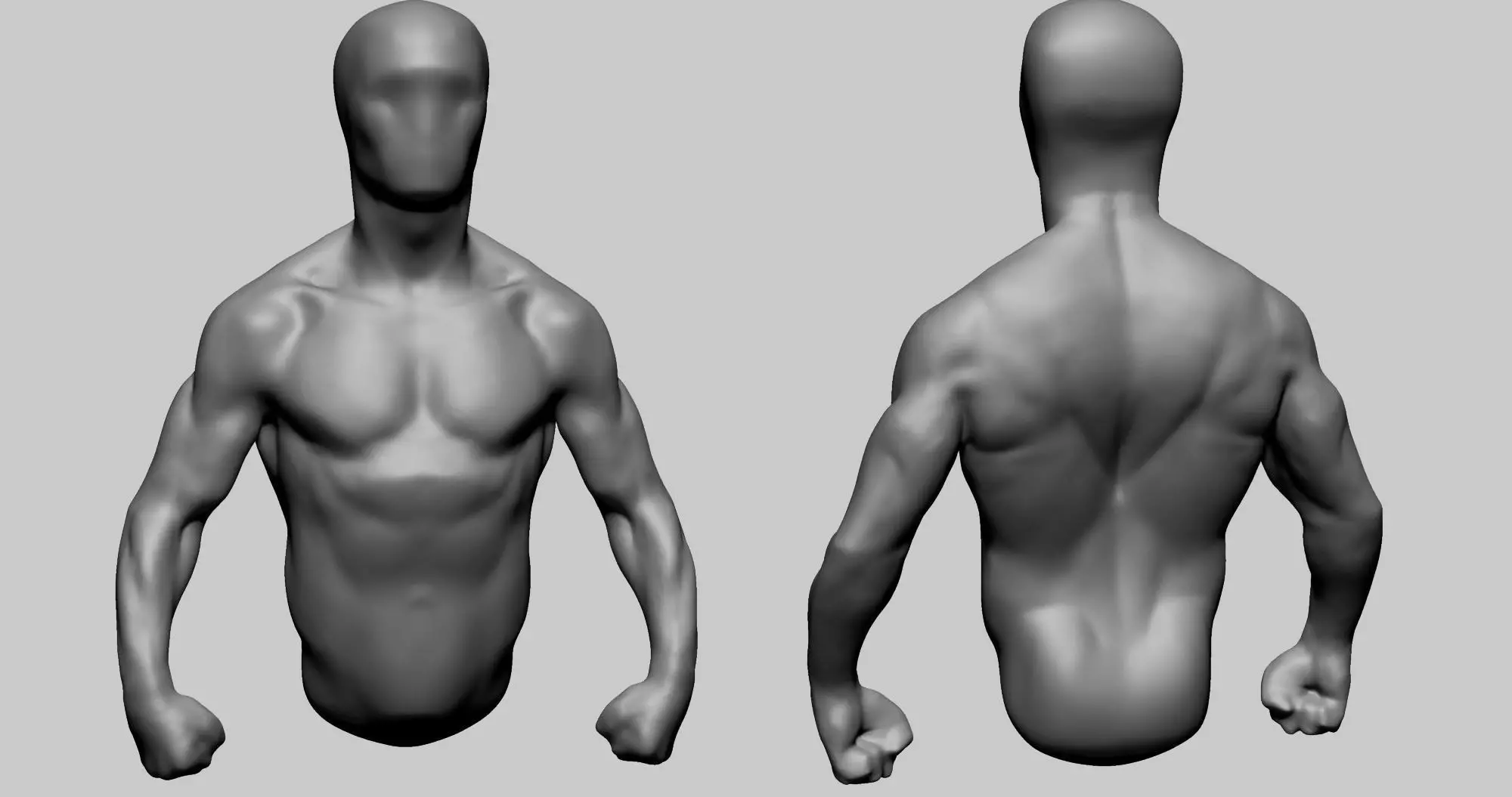 Base Male Torso B 3D model_0