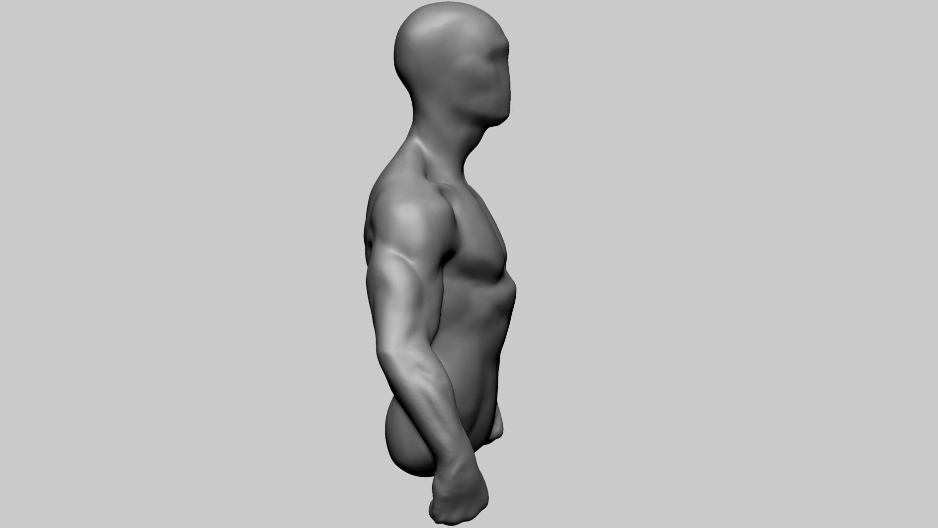 Base Male Torso B 3D model_4