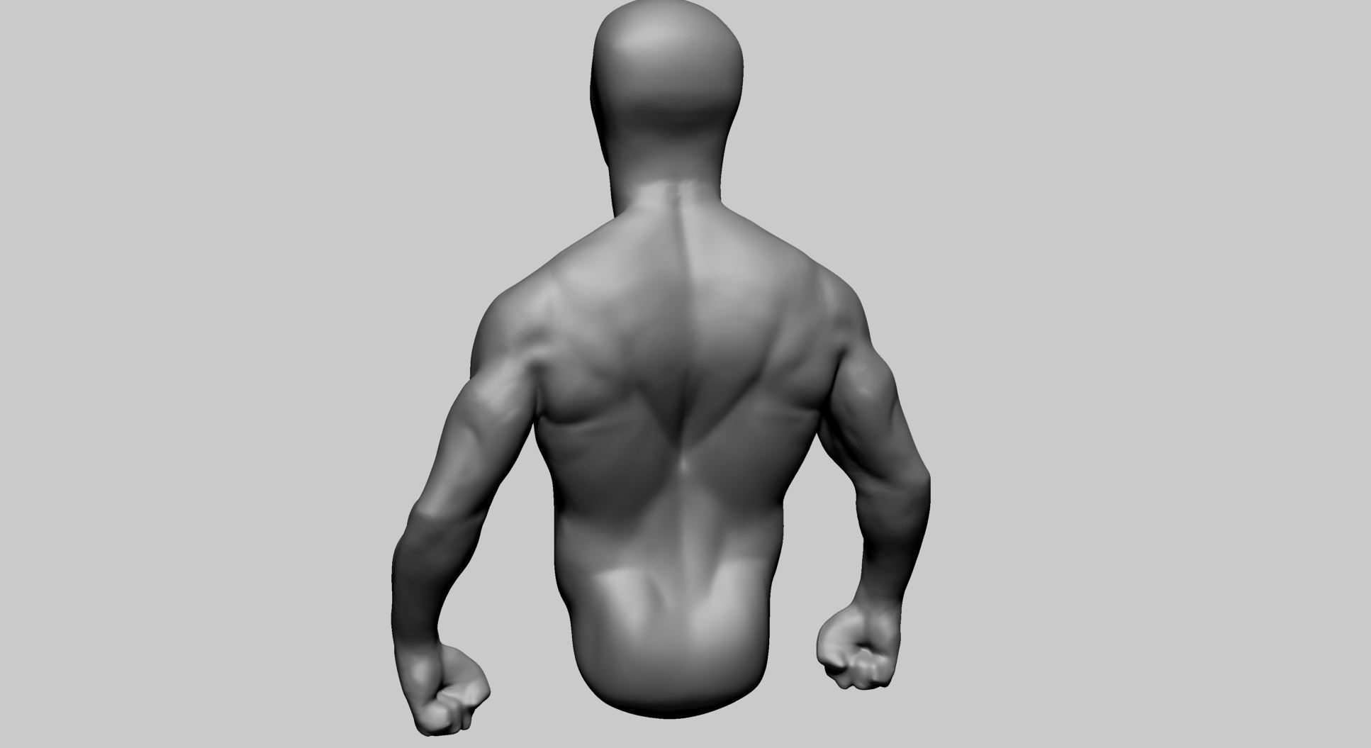 Base Male Torso B 3D model_2