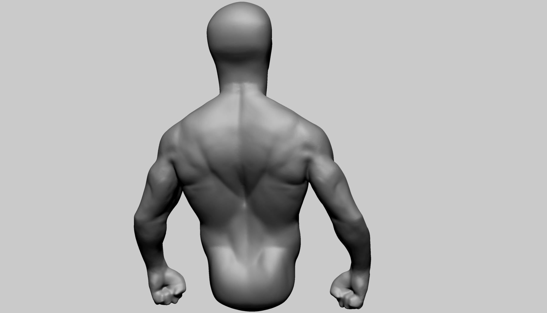 Base Male Torso B 3D model_5
