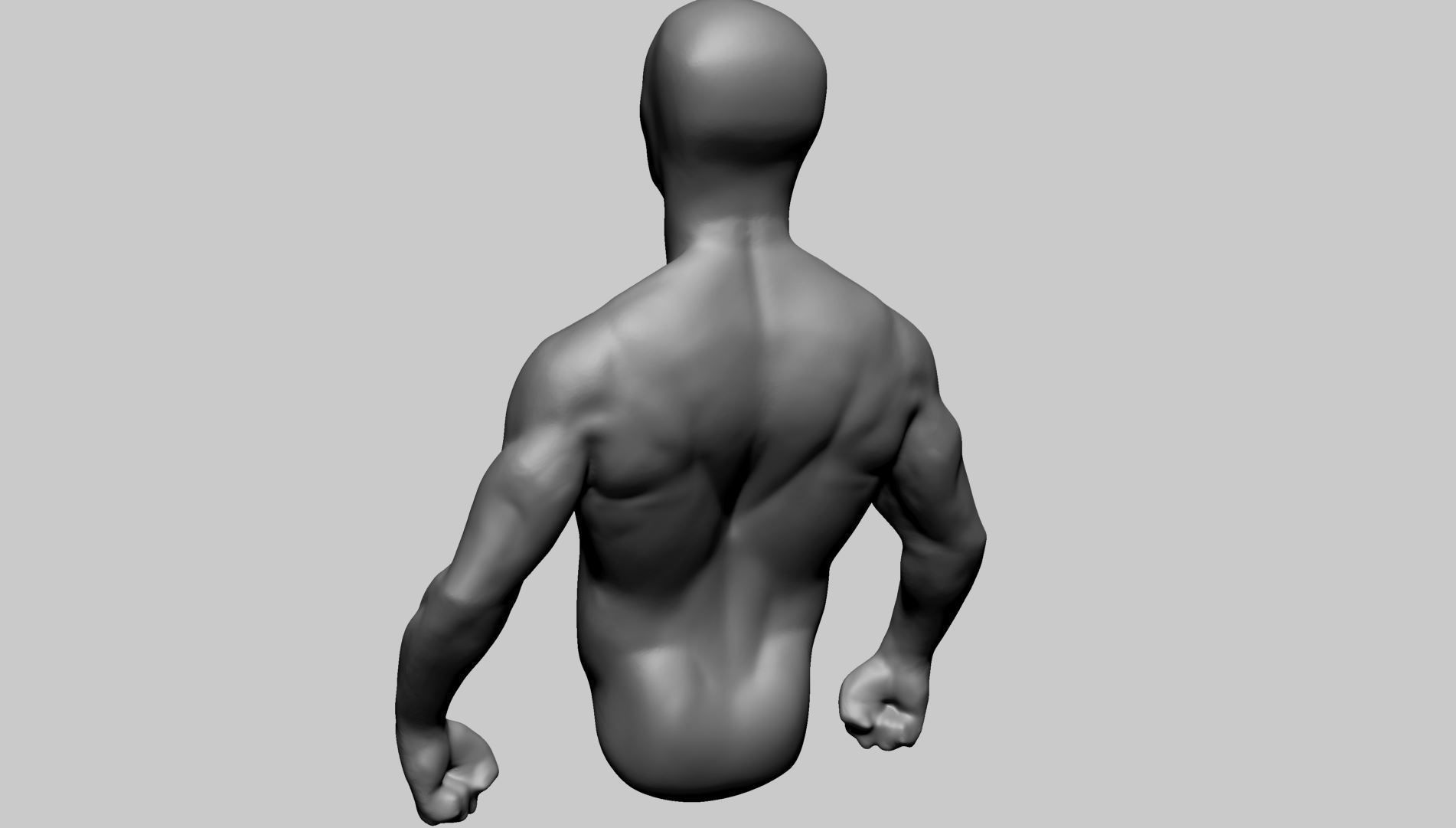 Base Male Torso B 3D model_6