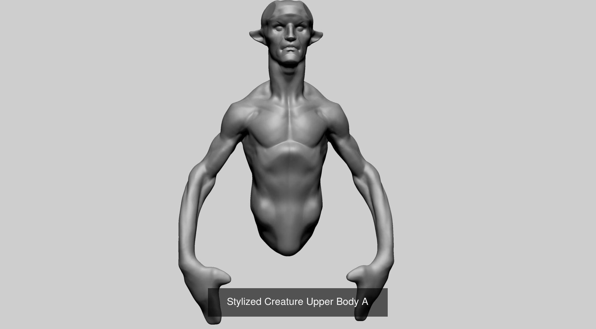 Male Torso Models B 3D Model Collection_3