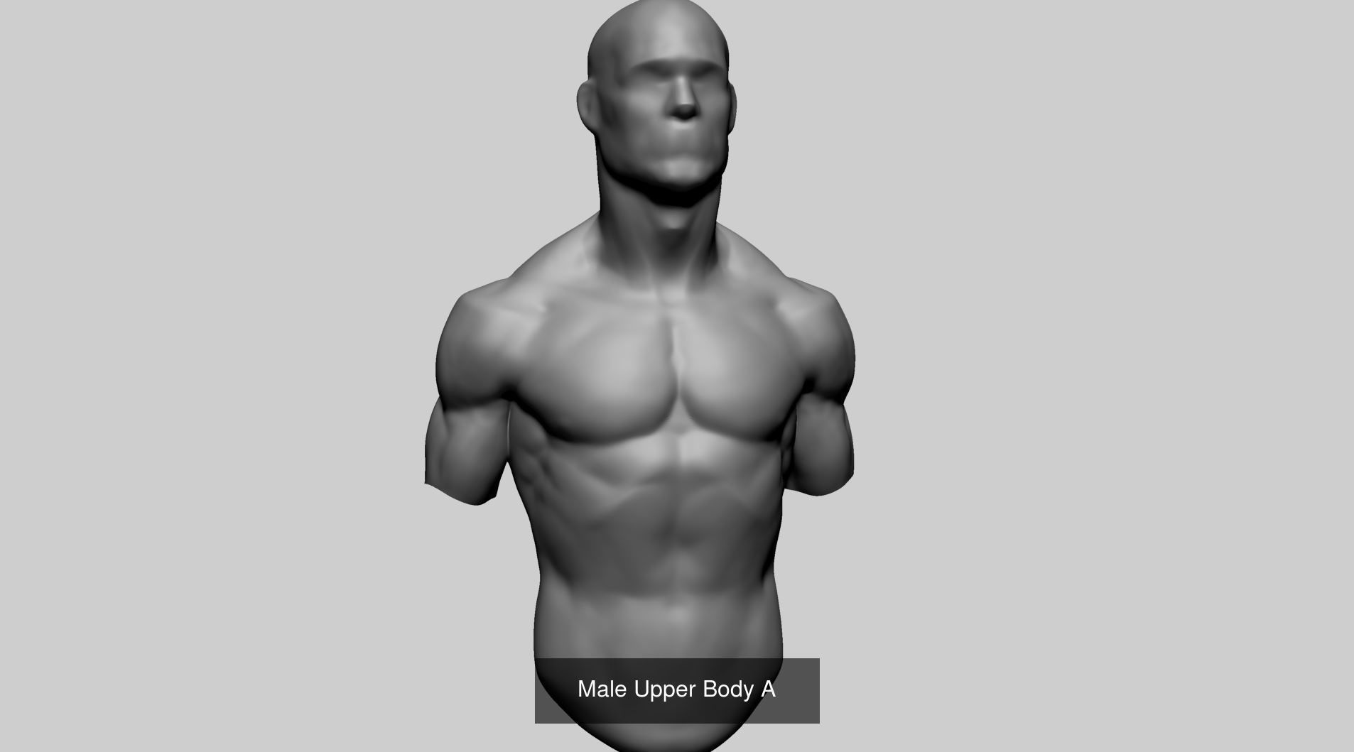 Male Torso Models B 3D Model Collection_2